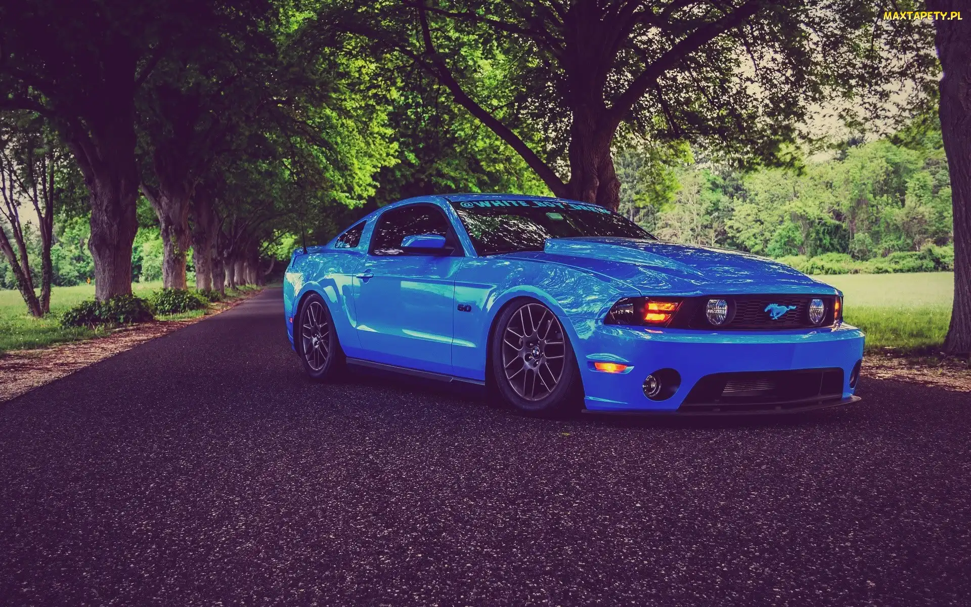 Niebieski, Ford Mustang Shelby GT700