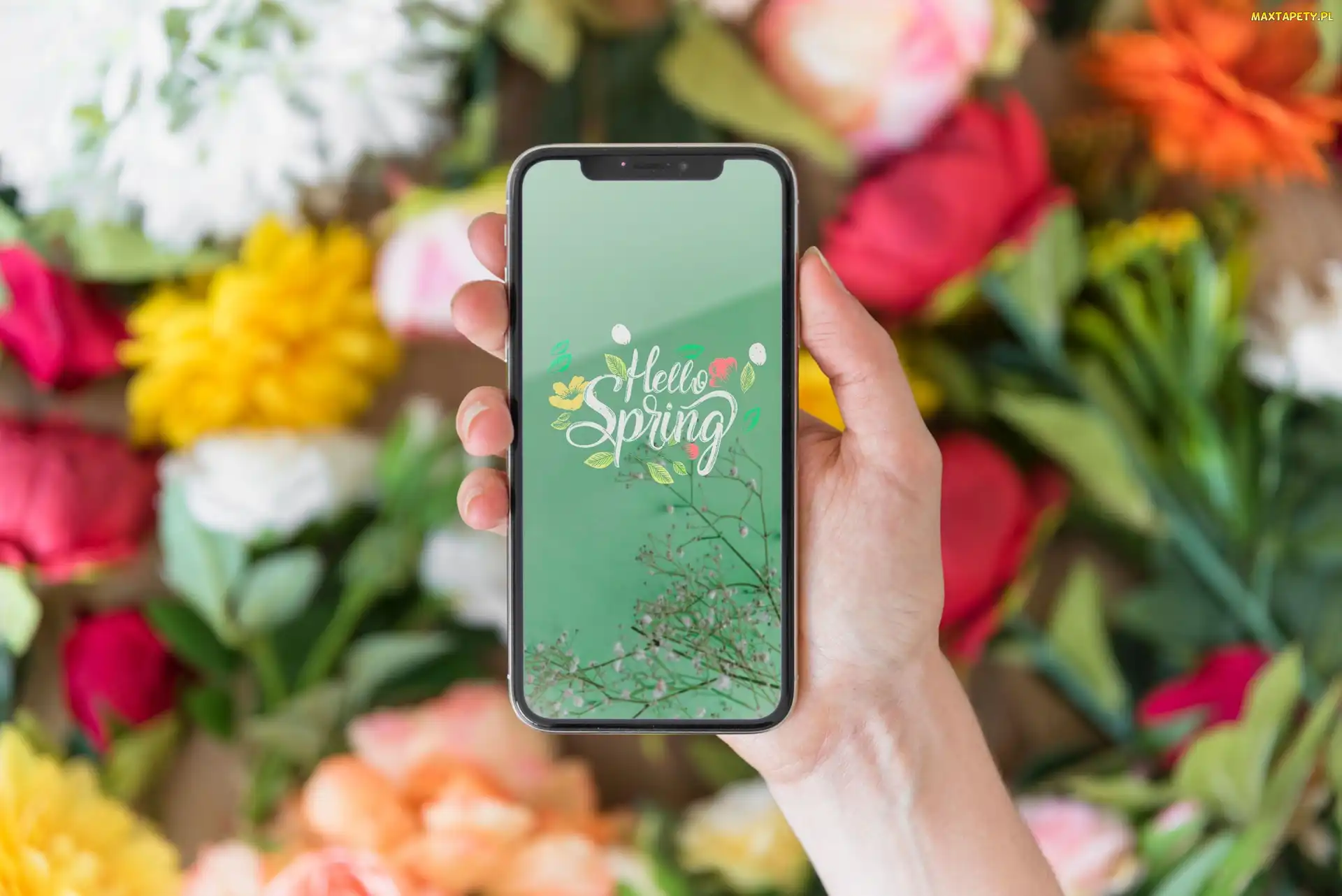 Rozmyte, Kwiaty, Hello Spring, Tło, Dłoń, Napis, Telefon