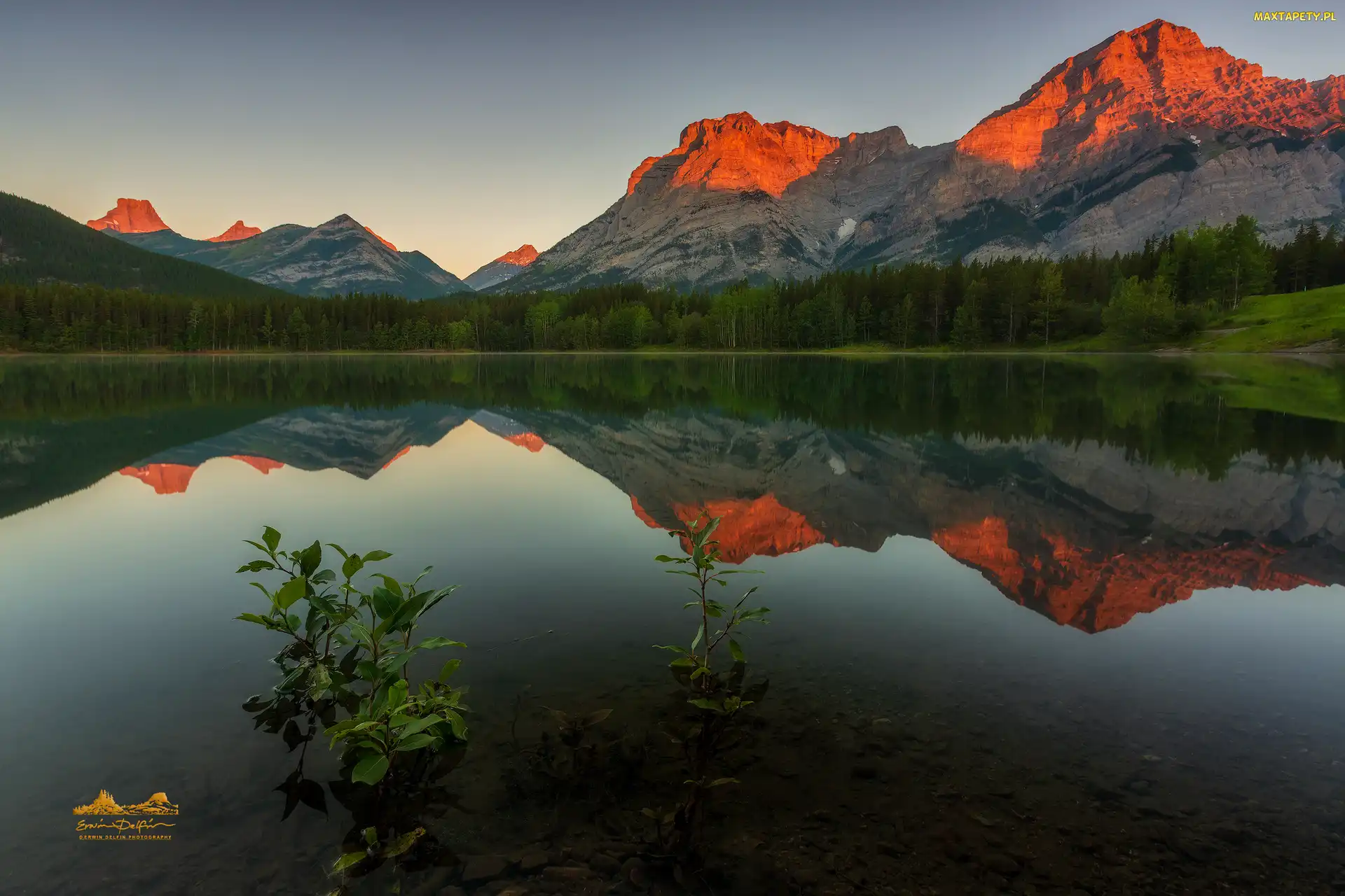 Alberta, Park Kananaskis, Jezioro Wedge Pond, Kanada, Odbicie, Góry Canadian Rockies, Las