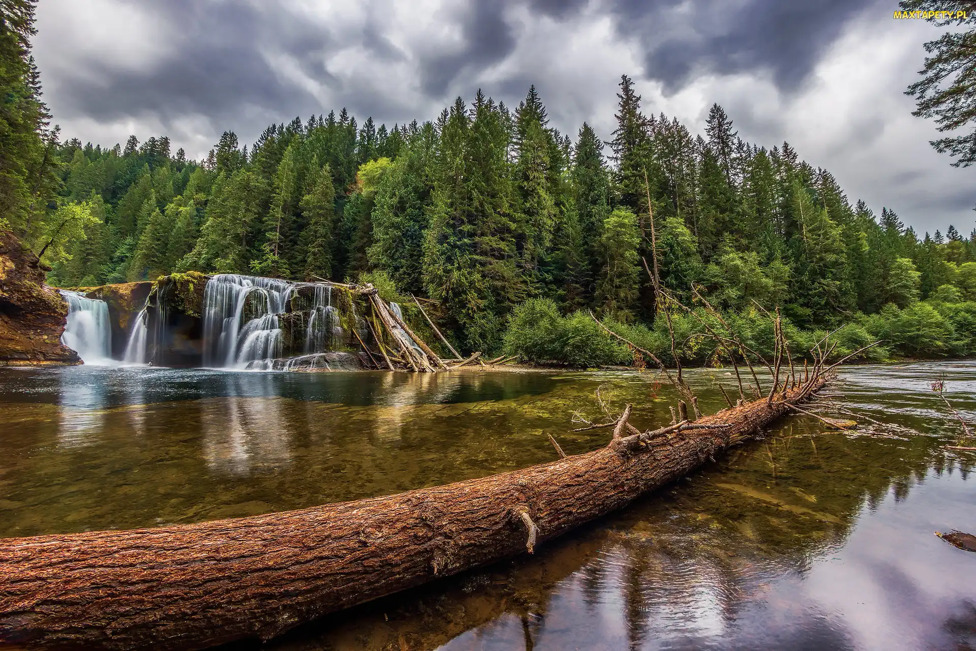 Rzeka Lewis River, Las, Rezerwat Gifford Pinchot, Drzewa, Stan Waszyngton, Wodospad Lower Lewis River Falls, Stany Zjednoczone, Chmury