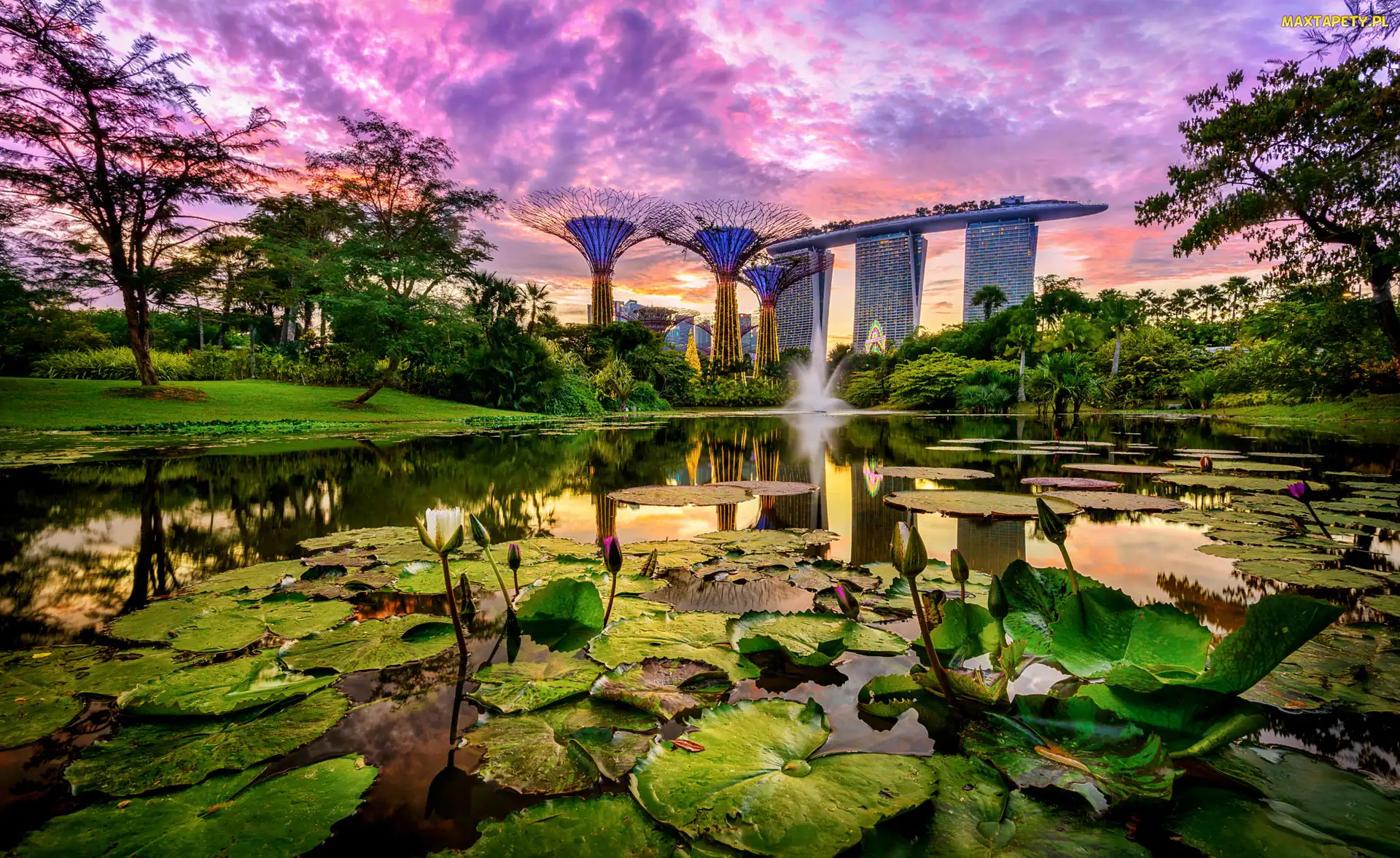 Lilie wodne, Singapur, Futurystyczny ogród Gardens by the Bay, Hotel Marina Bay Sands, Staw