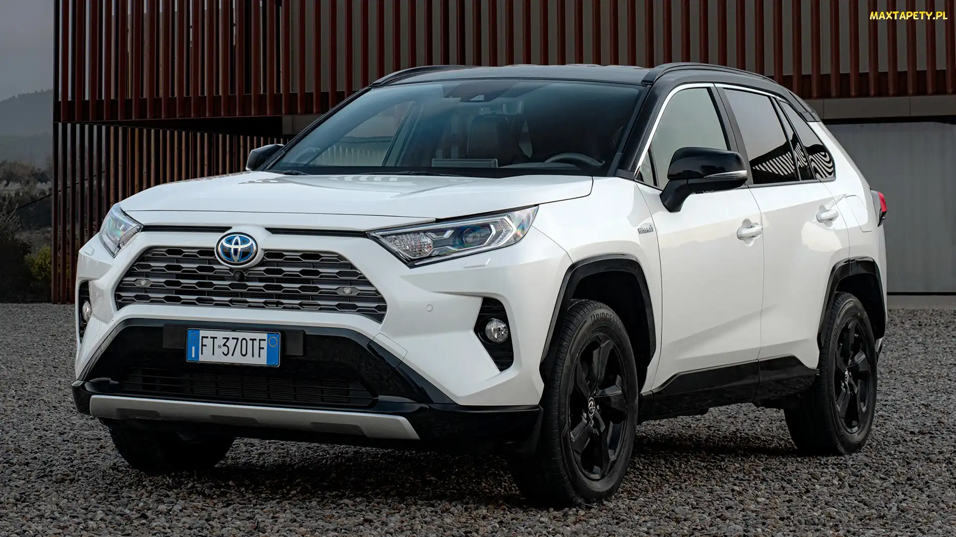 Biała, Toyota RAV4