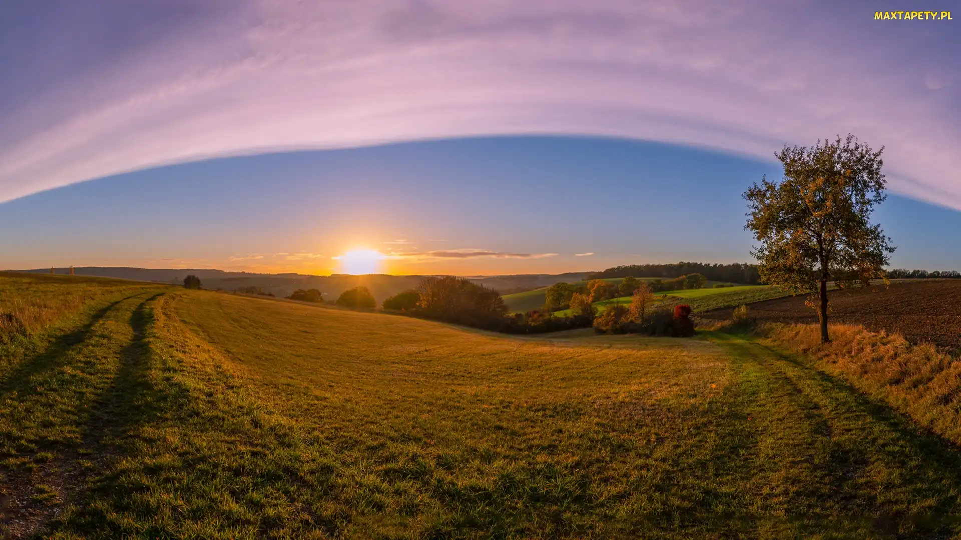 Drzewa, Wschód słońca, Pole