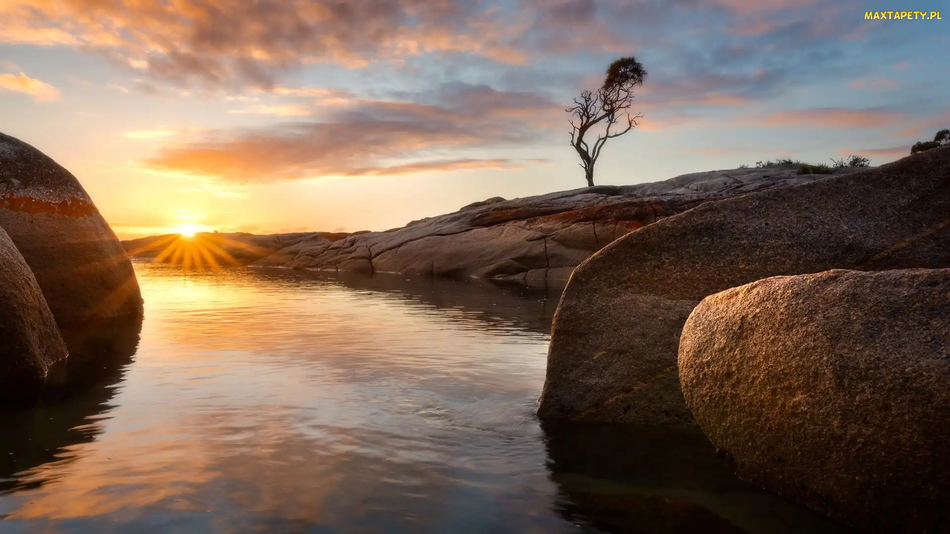 Tasmania, Skały, Australia, Morze, Wschód słońca, Binalong Bay, Chmury, Drzewo