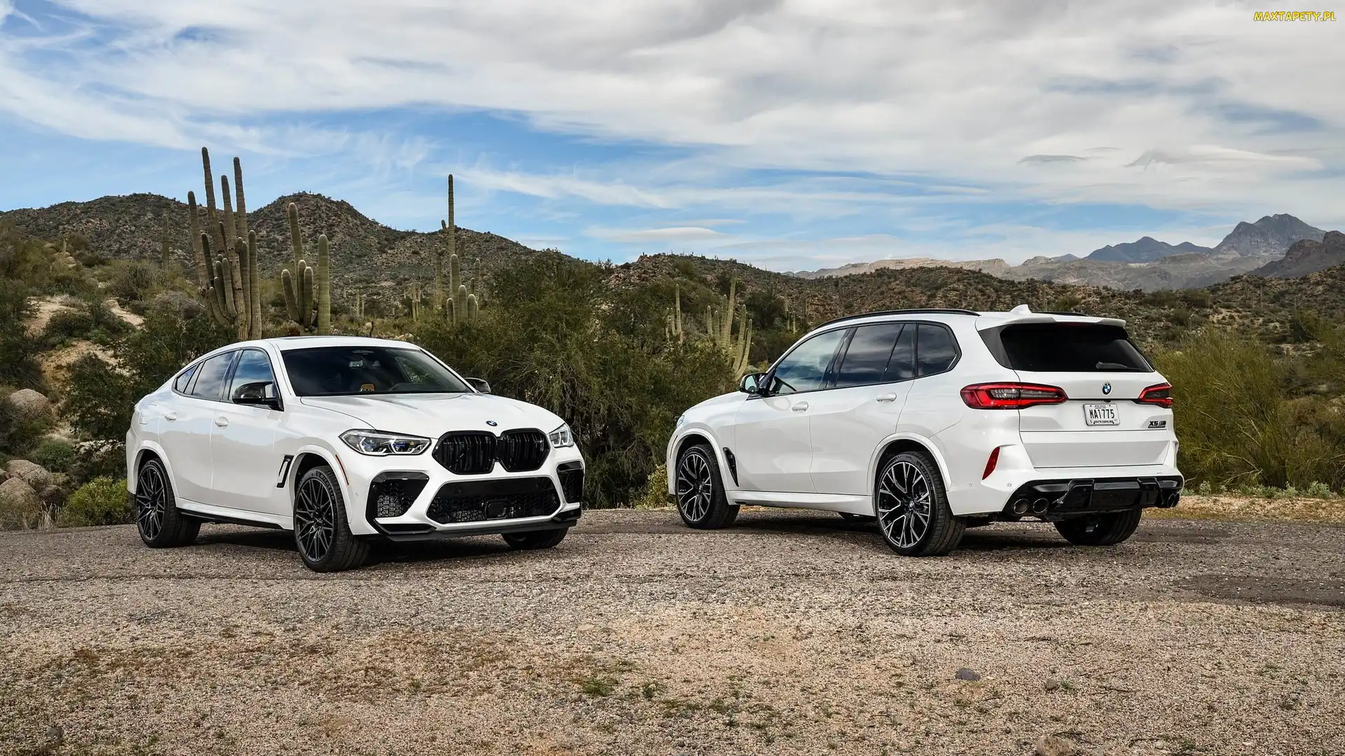 Competition, BMW X5 M, Białe, Dwa, BMW, BMW X6 M