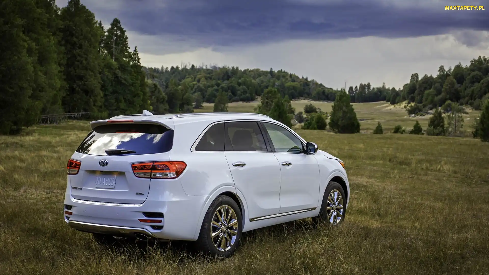 Kia Sorento SXL, Łąka