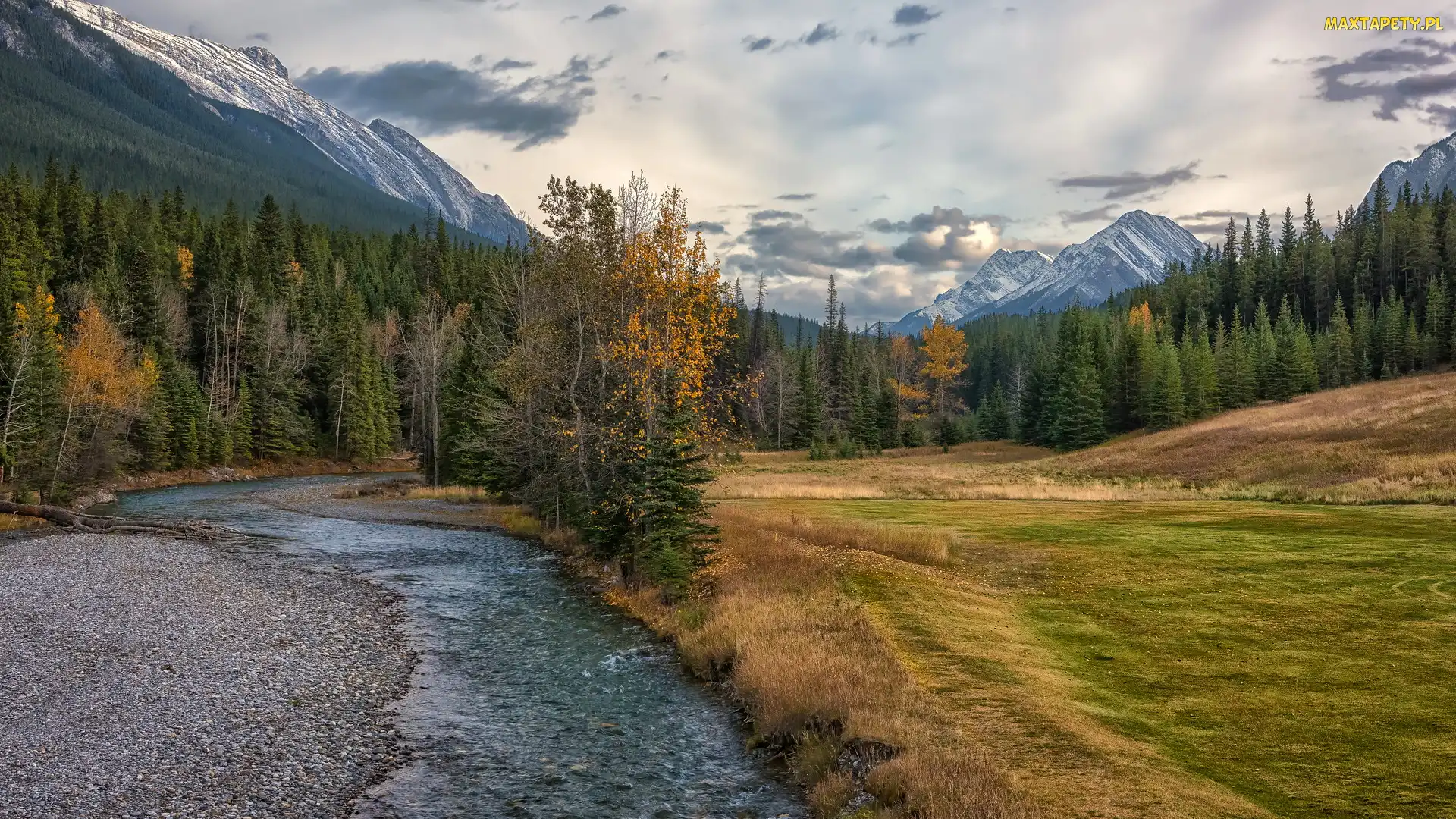Kanada, Park Narodowy Banff, Canadian Rockies, Alberta, Drzewa, Spray River, Las, Łąka, Rzeka, Góry