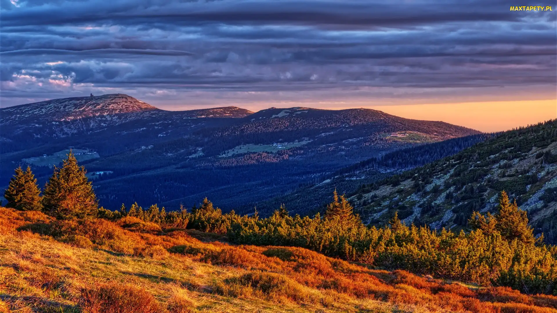 Góry, Karkonosze, Polska, Drzewa, Rośliny, Chmury
