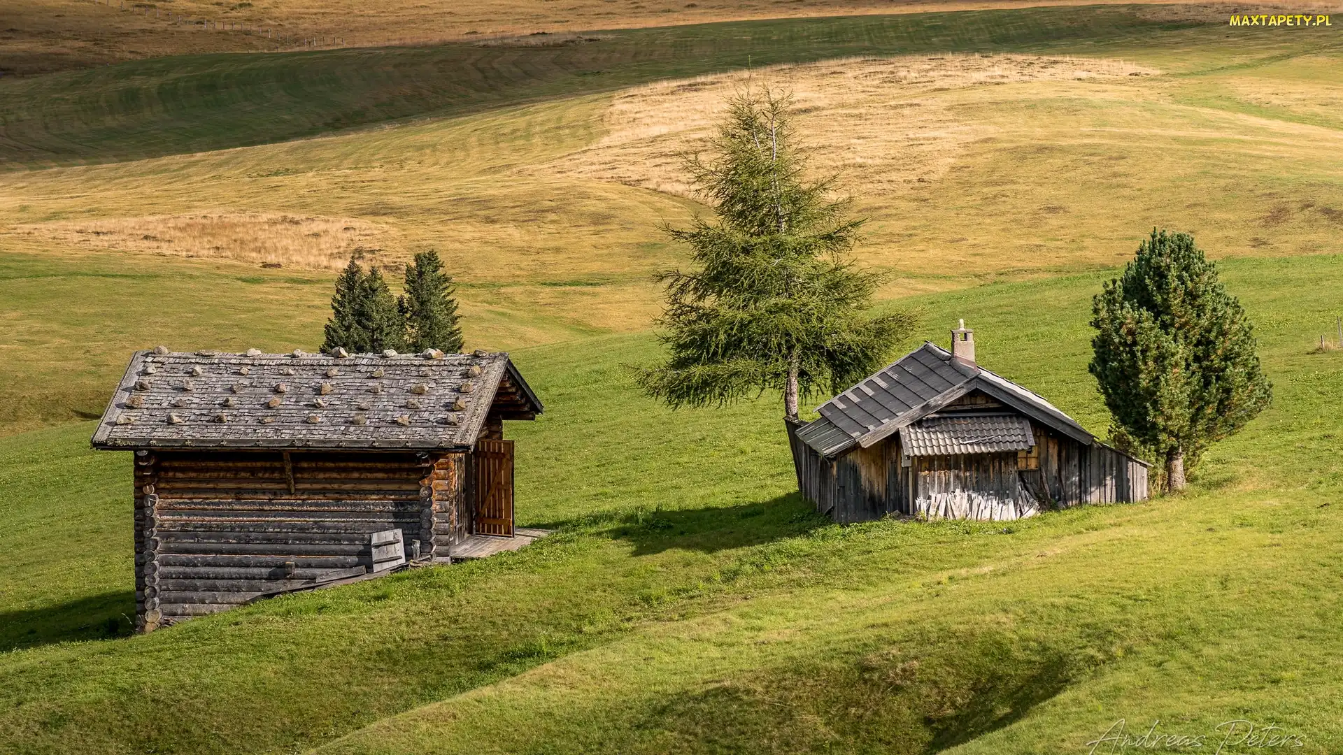 Płaskowyż, Drzewa, Drewniane, Włochy, Domki, Łąki, Seiser Alm, Dolina Val Gardena, Wzgórza