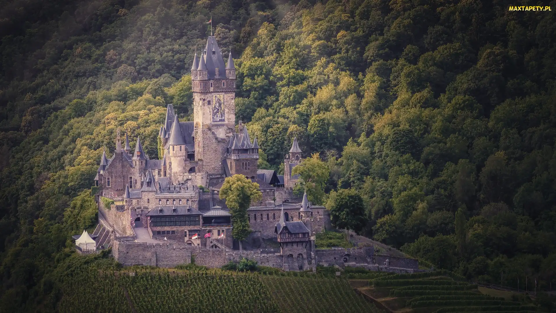 Niemcy, Gmina Cochem, Zamek Reichsburg, Las