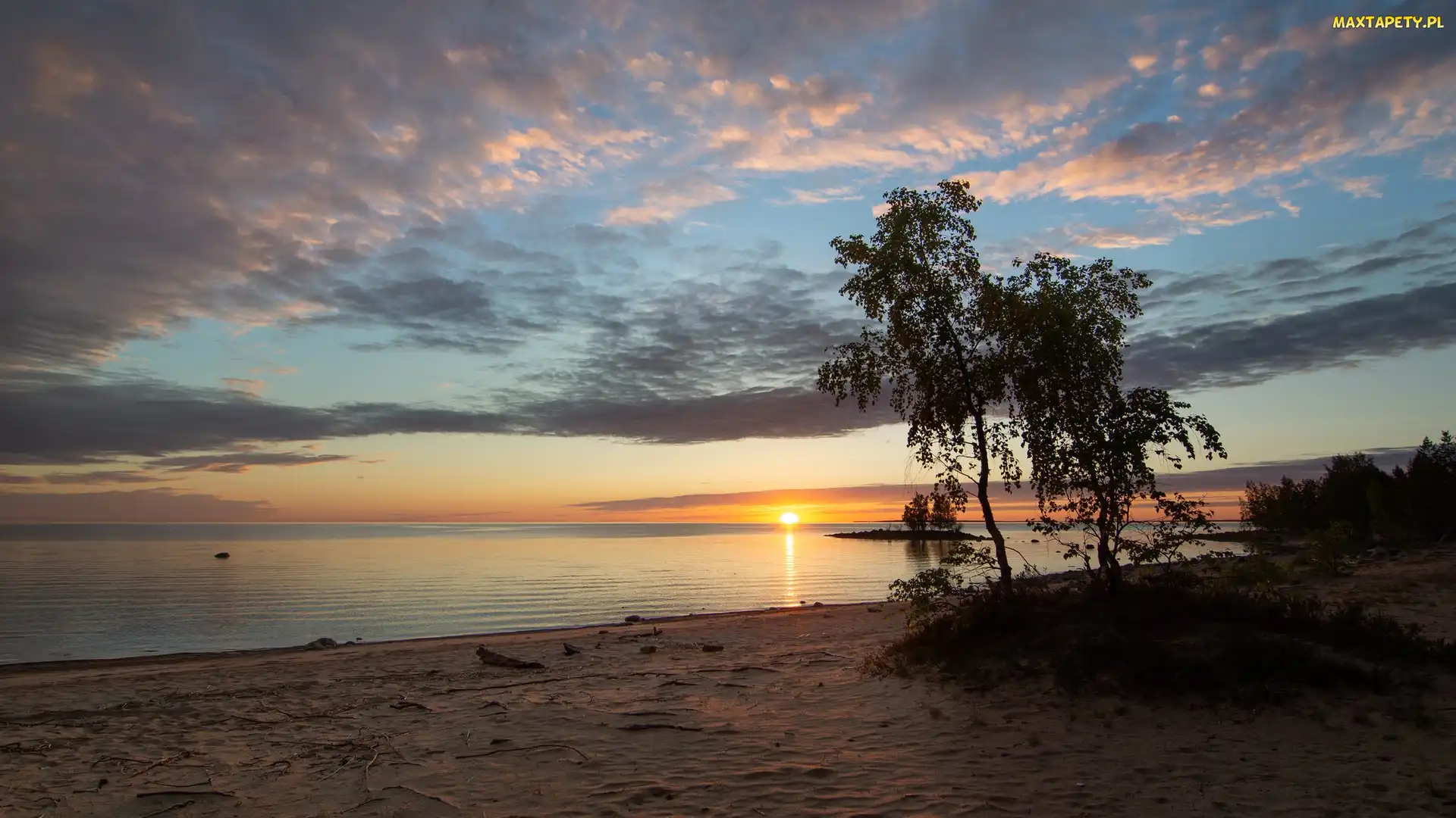 Drzewa, Plaża, Zachód słońca, Morze