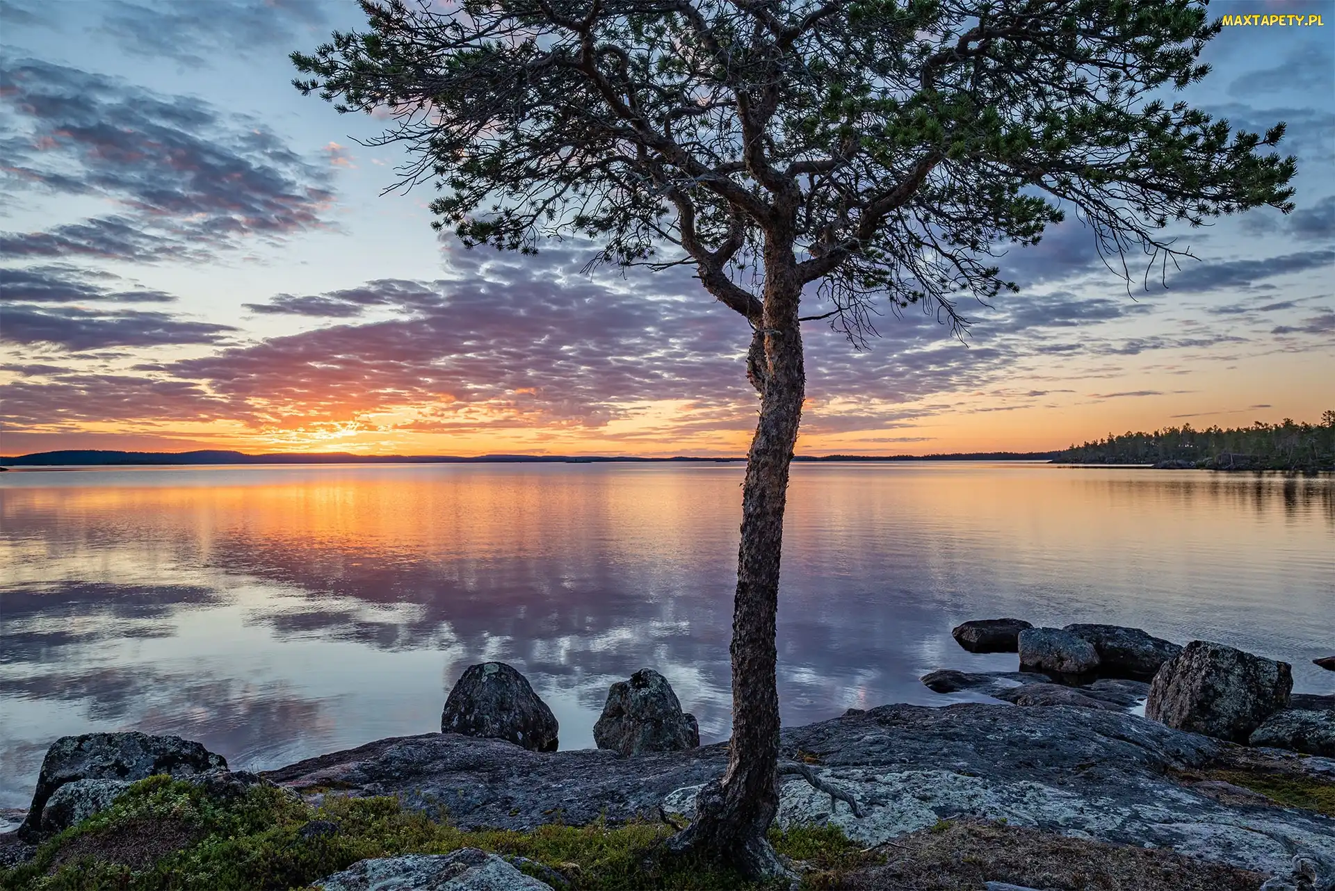 Finlandia, Chmury, Lake Inari, Jezioro, Drzewo, Zachód słońca