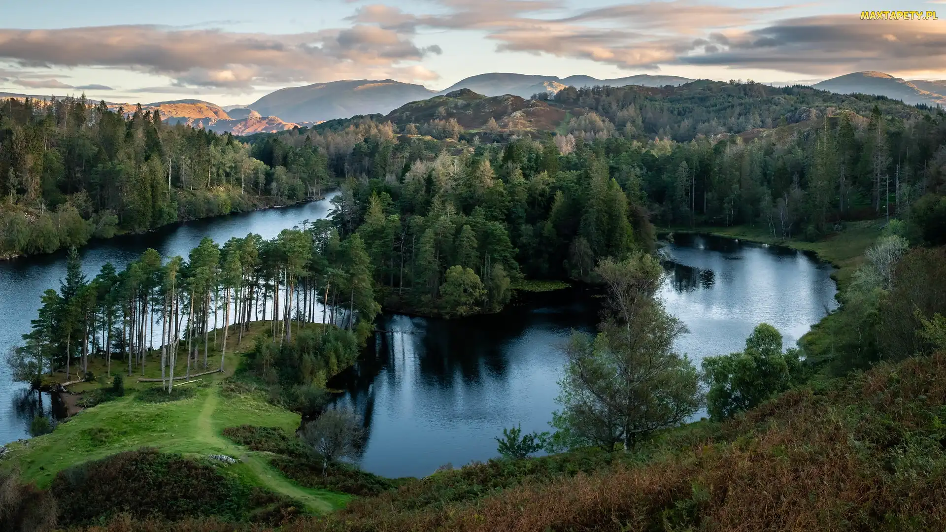 Wzgórza, Anglia, Jezioro Tarn Hows, Lasy, Park Narodowy Lake District