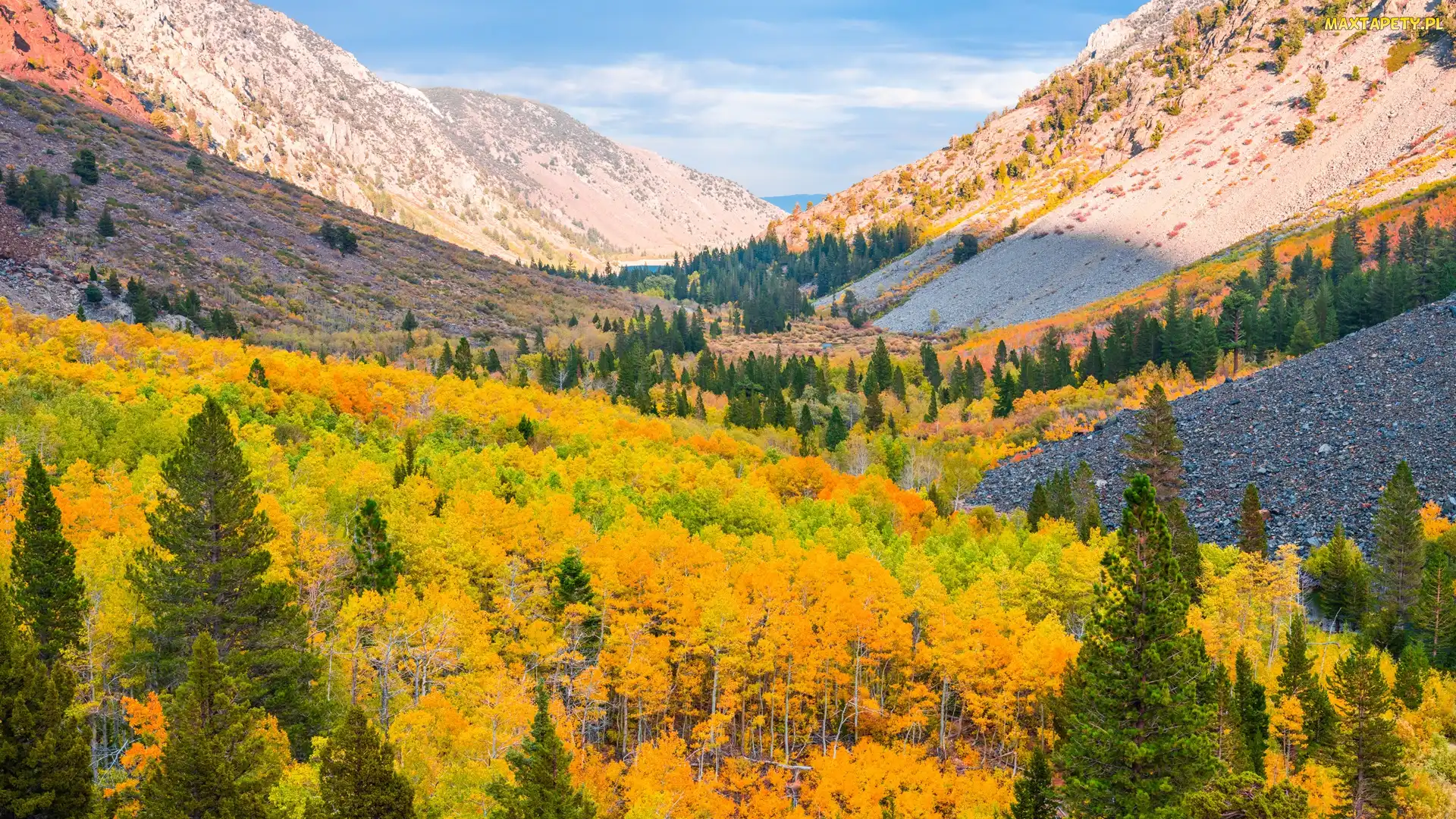 Drzewa, Wąwóz, Góry, Jesień, Kalifornia, Lasy, Stany Zjednoczone, Lundy Canyon