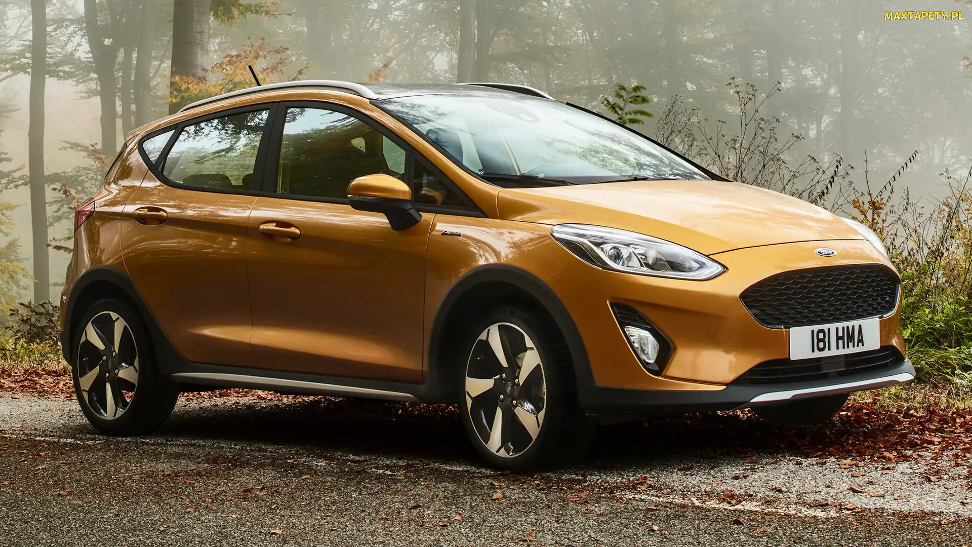 Ford Fiesta, 2018