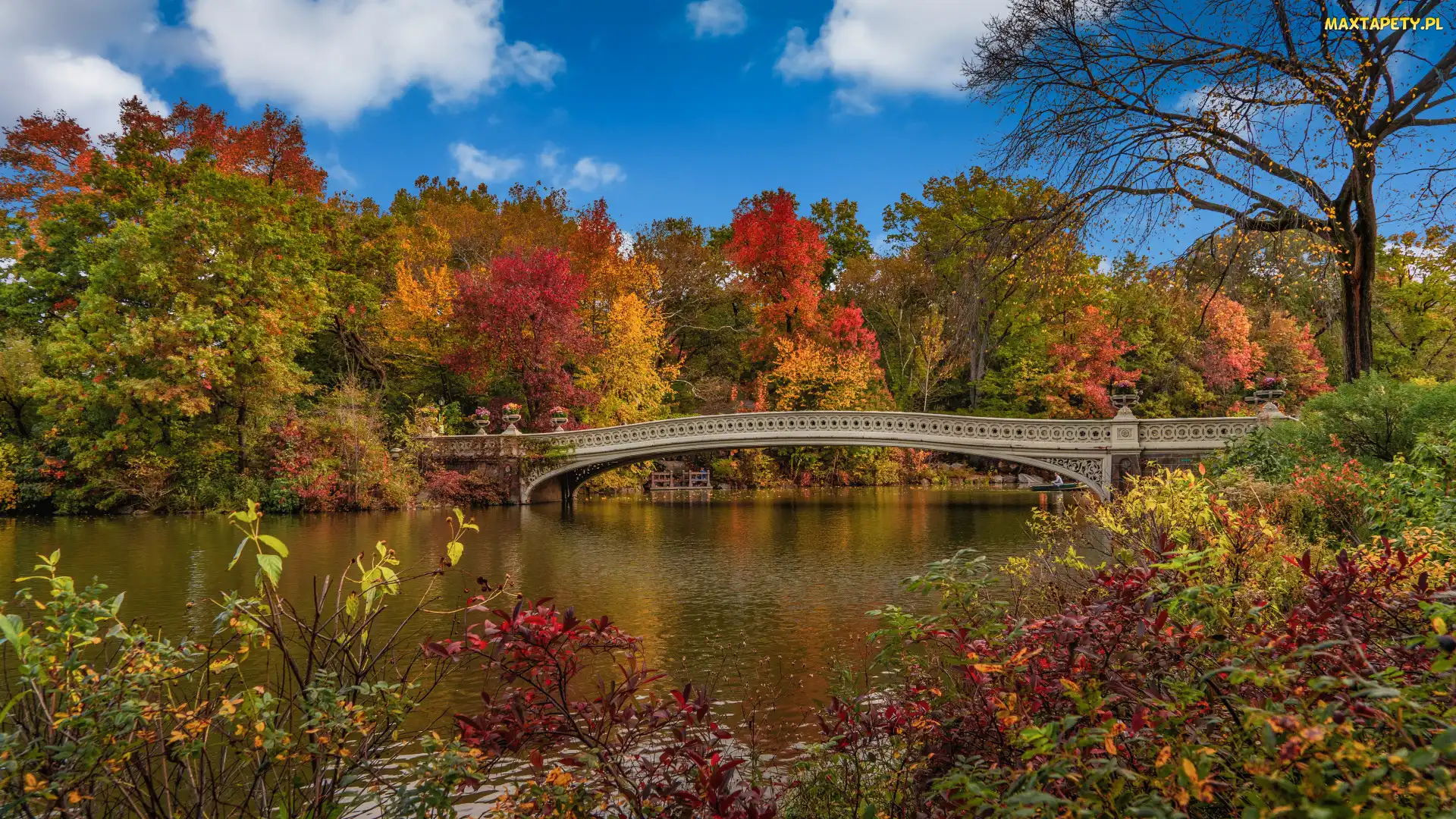 Nowy Jork, Drzewa, Jesień, Central Park, Most, Manhattan, Stany Zjednoczone, Jezioro