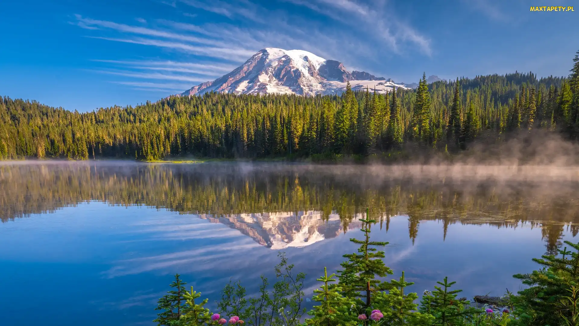 Stany Zjednoczone, Stratowulkan, Park Narodowy Mount Rainier, Mount Rainier, Góra, Reflection Lakes, Mgła, Drzewa, Stan Waszyngton, Jezioro