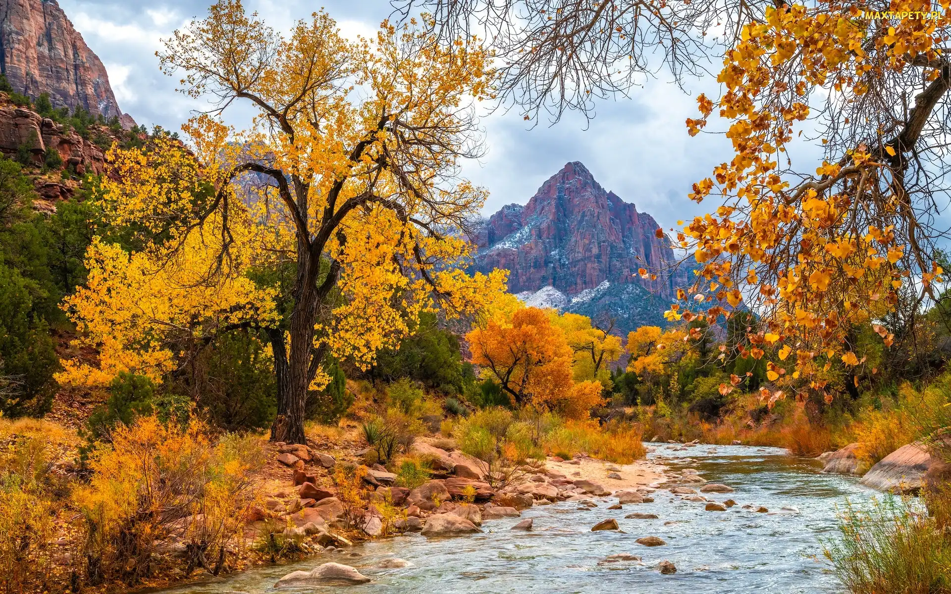 Park Narodowy Zion, Stan Utah, Drzewa, Stany Zjednoczone, Jesień, Kamienie, Góra Watchman, Rzeka, Virgin River