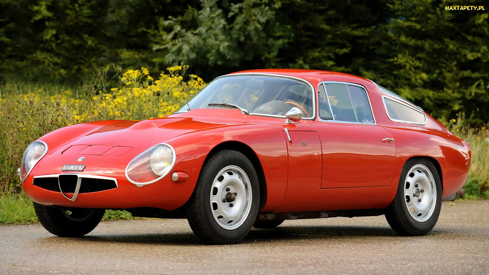 Zabytkowe, 1965, Alfa Romeo Giulia TZ