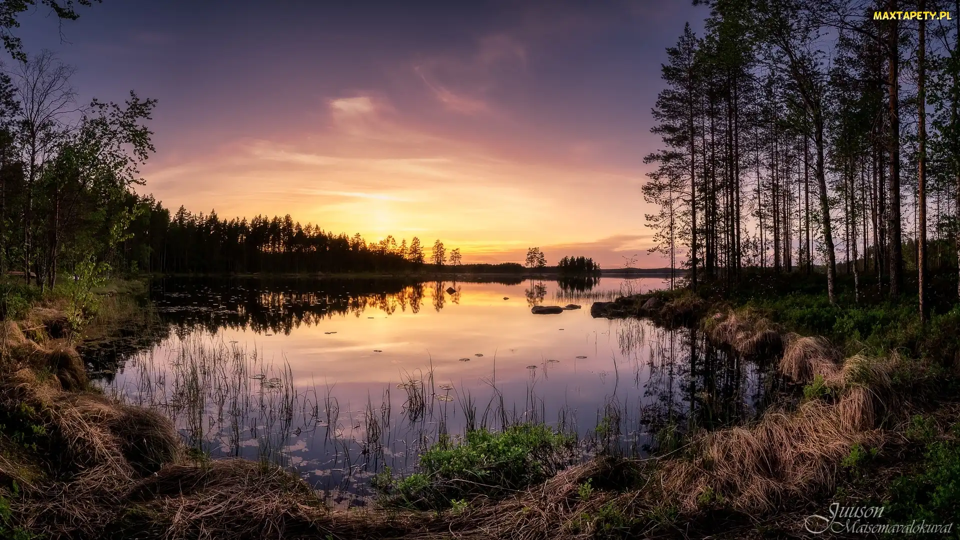 Park Narodowy Helvetinjarvi, Jezioro Haukkajarvi, Finlandia, Zachód słońca, Gmina Ruovesi, Drzewa