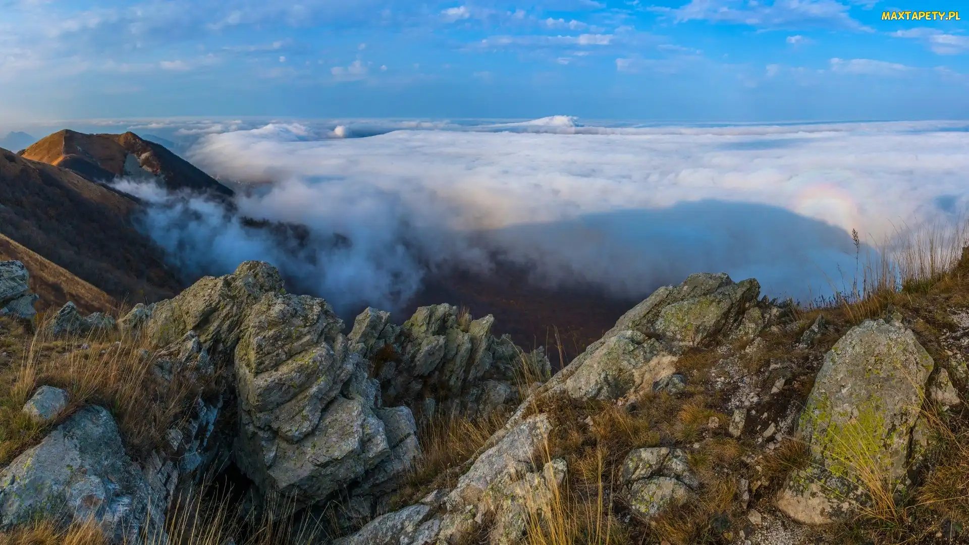 Skały, Rośliny, Mgła, Góry