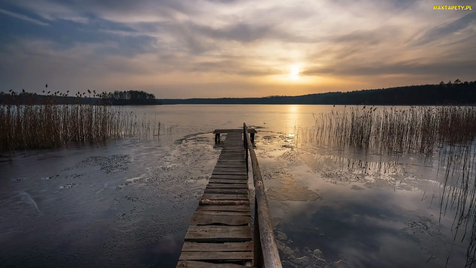 Jezioro, Trawy, Pomost, Zachód słońca