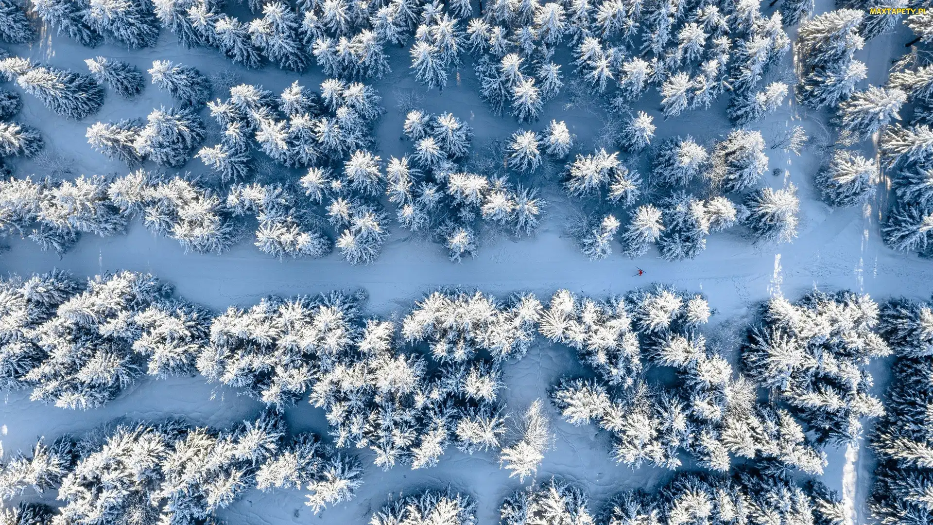 Śnieg, Z lotu ptaka, Narciarz, Zima, Las