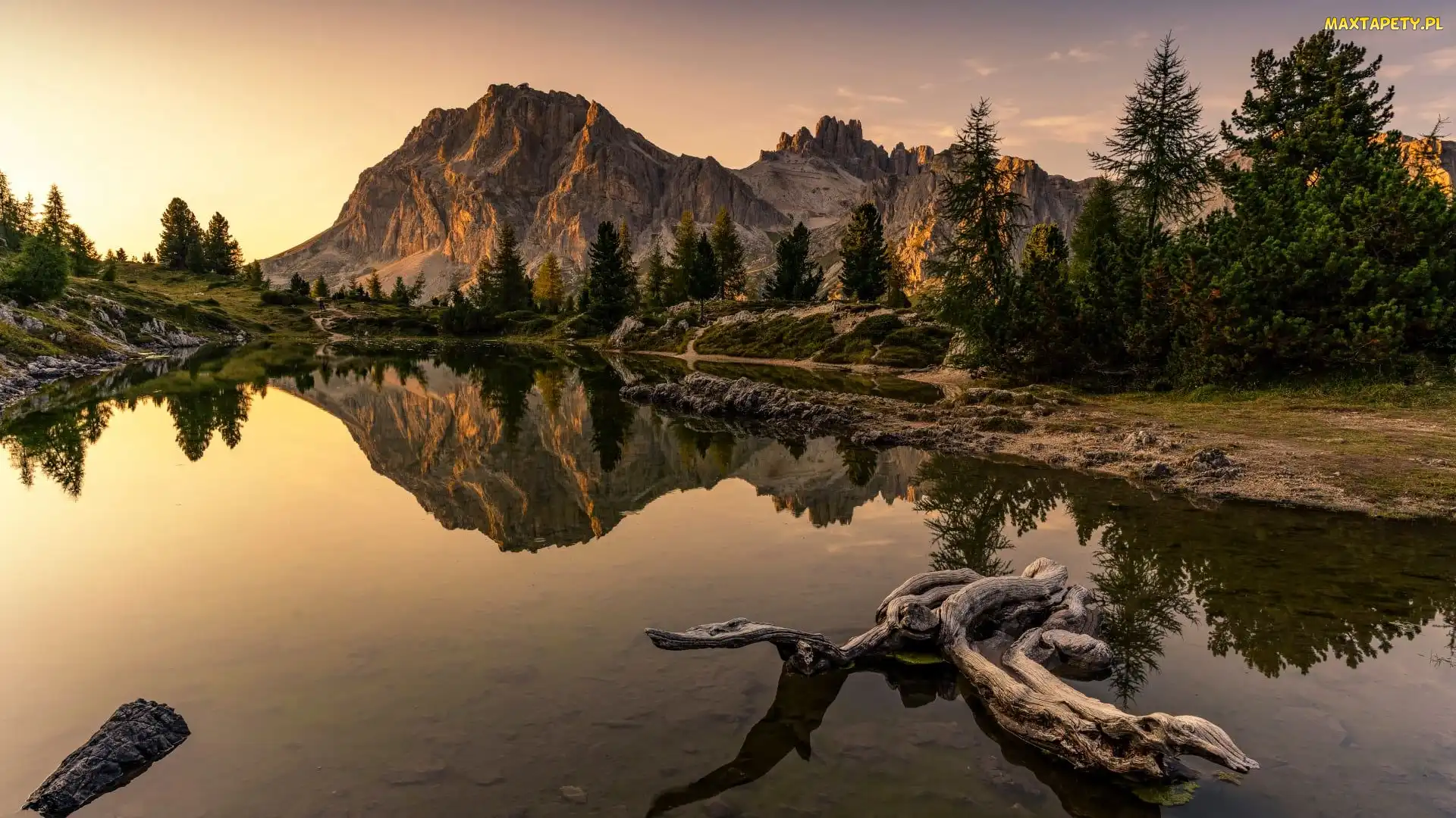 Drzewa, Lago Limides, Góry, Konar, Jezioro, Włochy, Dolomity