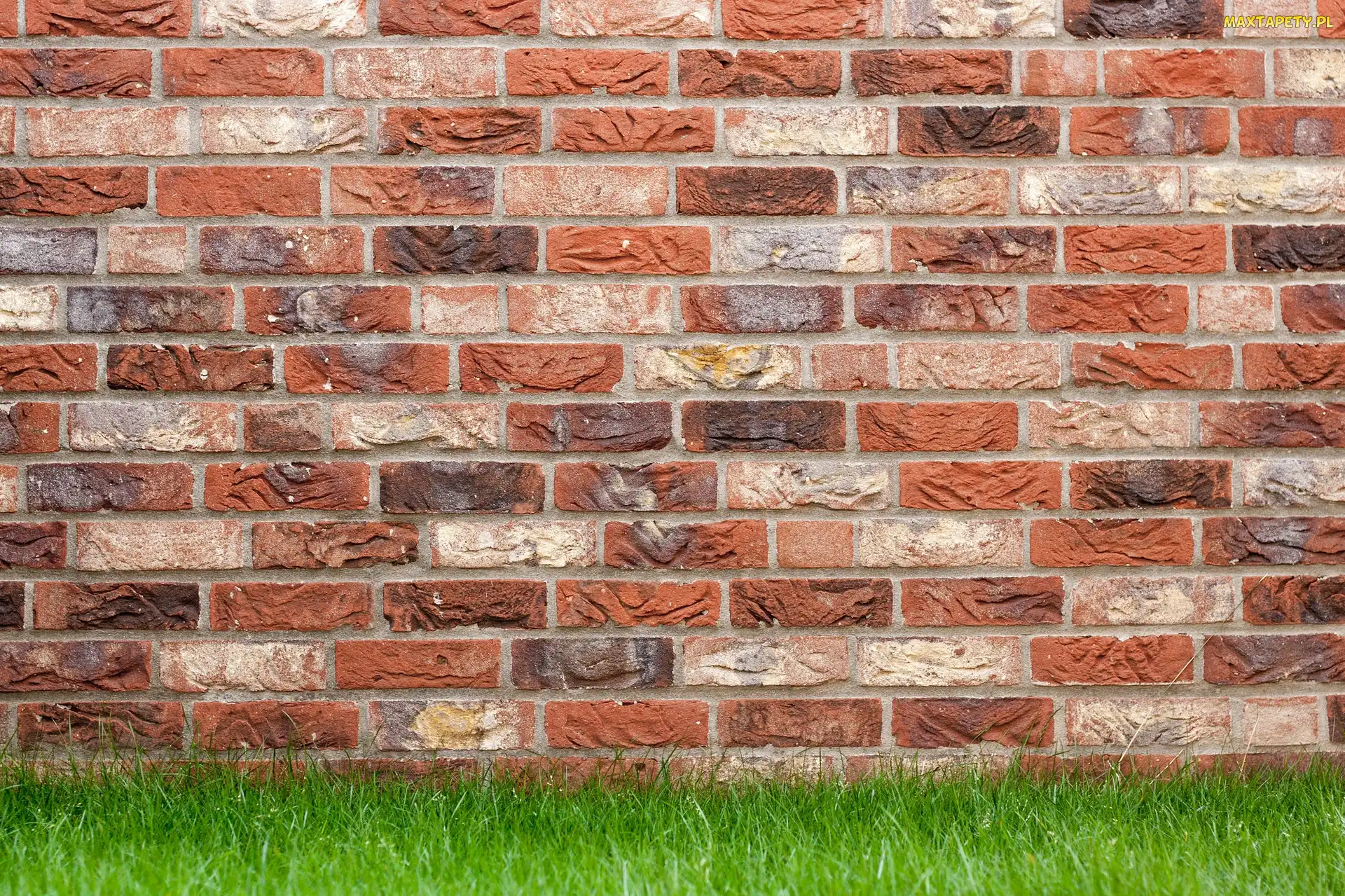 Mur, Zielona, Cegła, Trawa, Czerwona