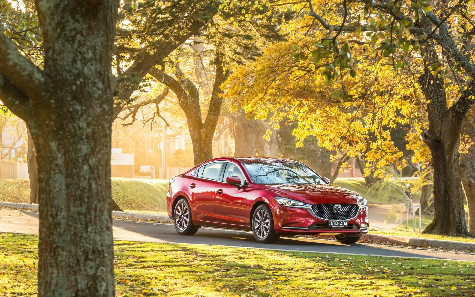 Mazda 6, Drzewa, Czerwona