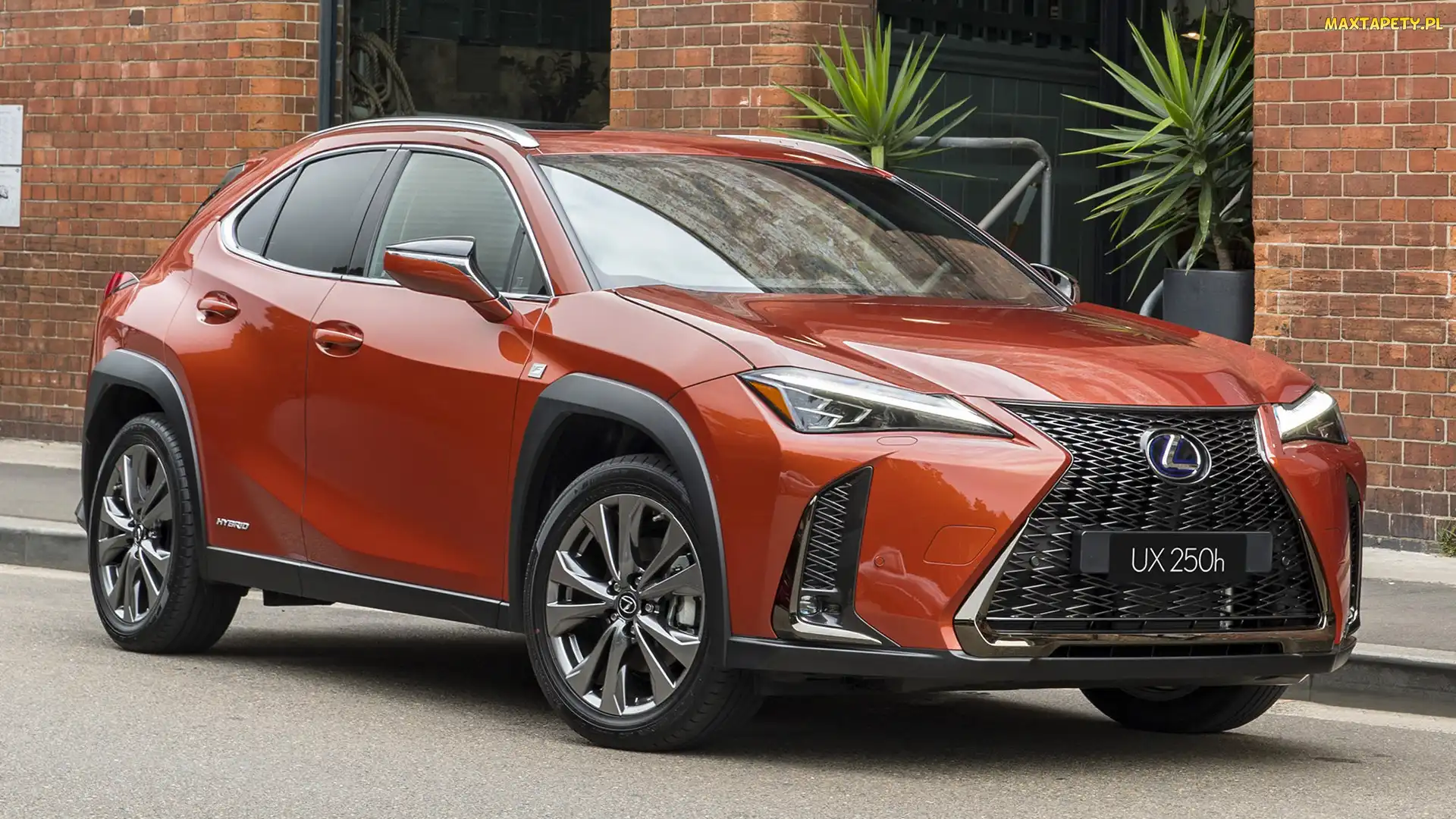 Czerwony, , Lexus UX, Hybryda