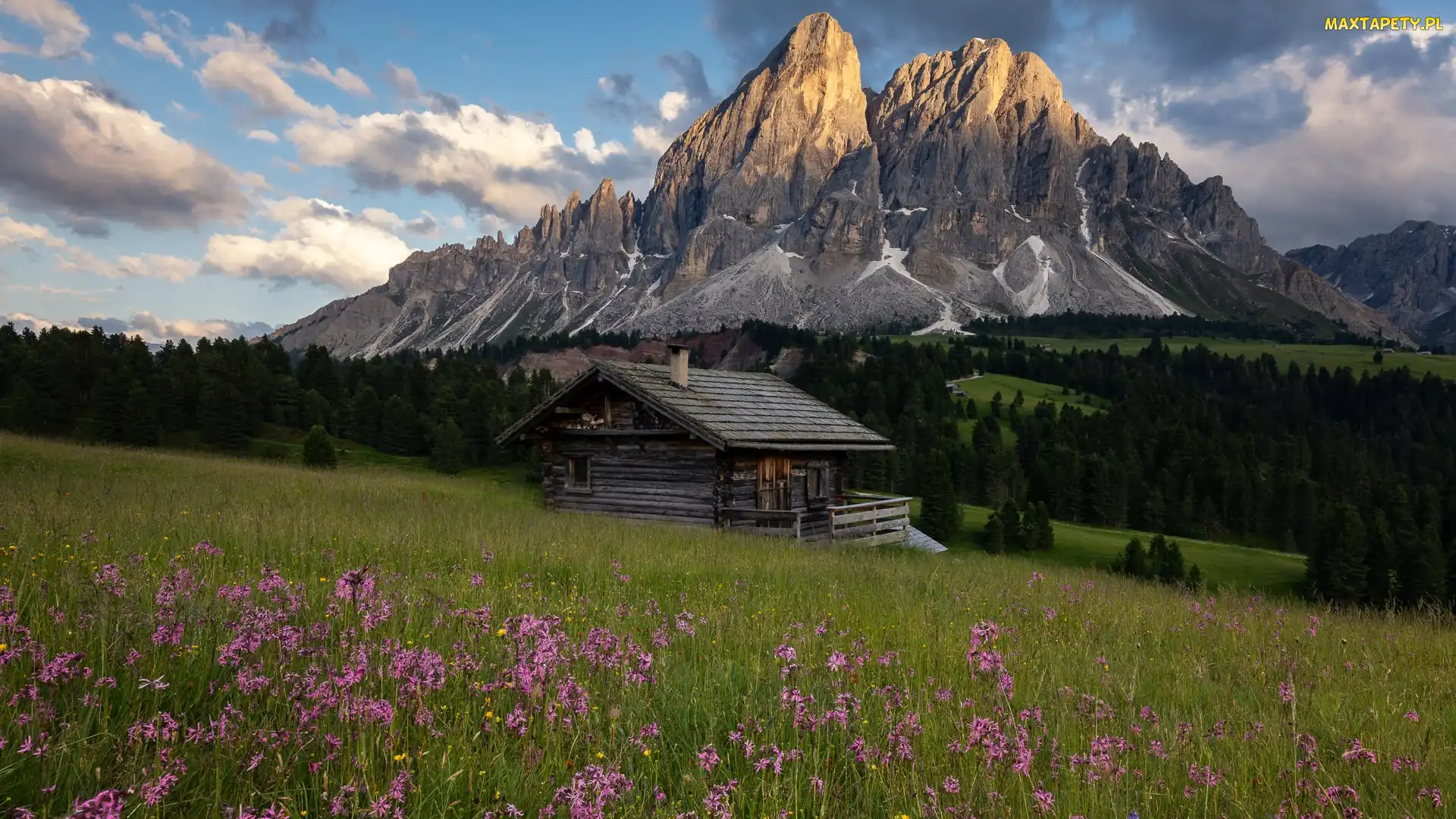 Dom, Chmury, Włochy, Drzewa, Przełęcz Wurzjoch, Włochy, Góry, Południowy Tyrol, Łąka, Góra Peitlerkofel, Las