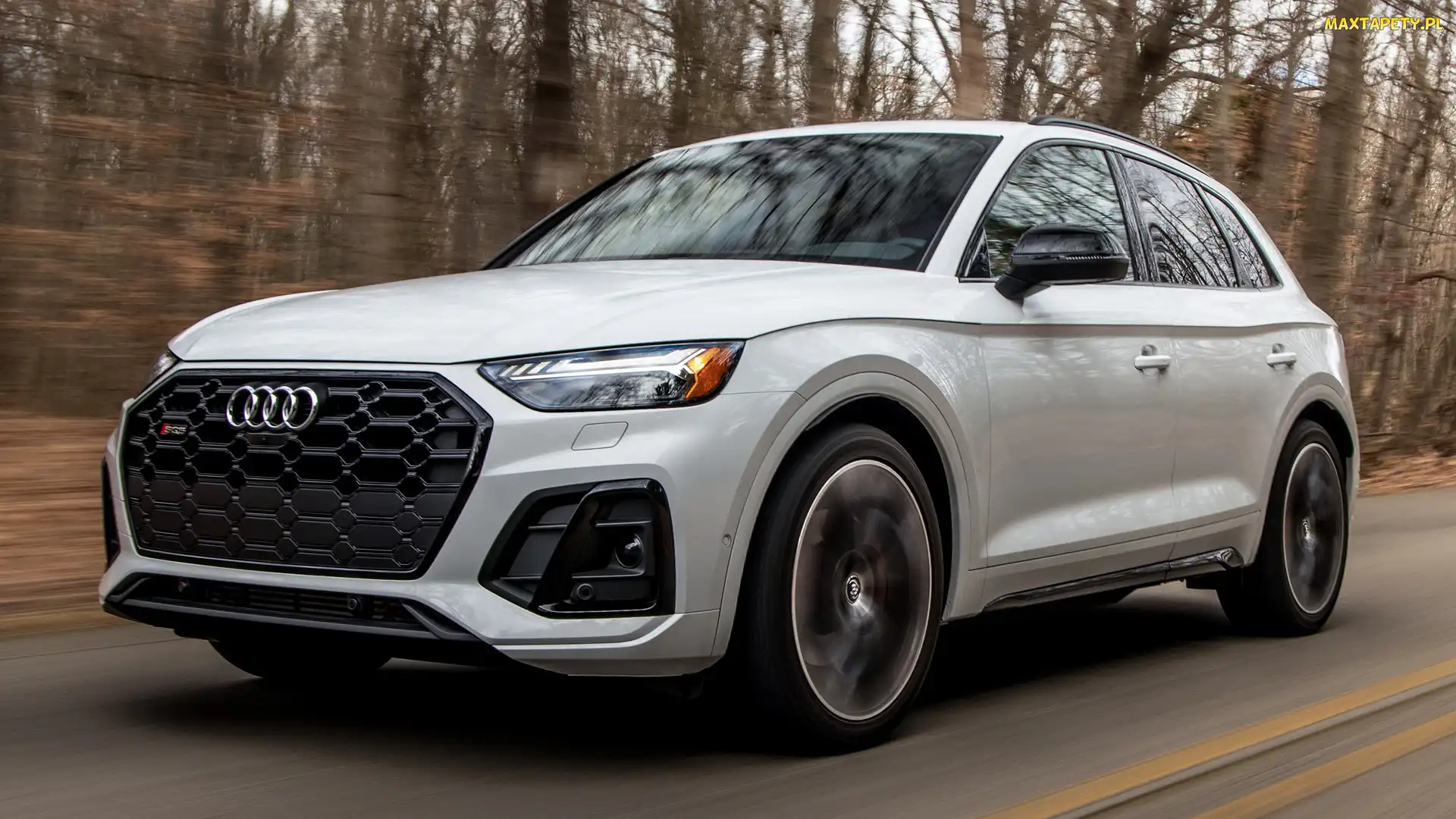 Audi SQ5, Przód, Białe