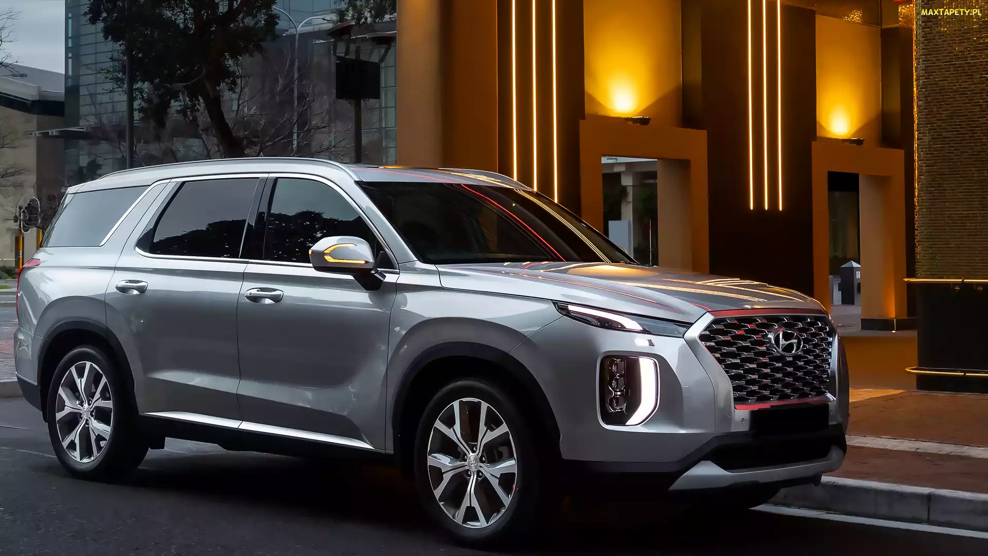 Srebrny, 2021, Hyundai Palisade