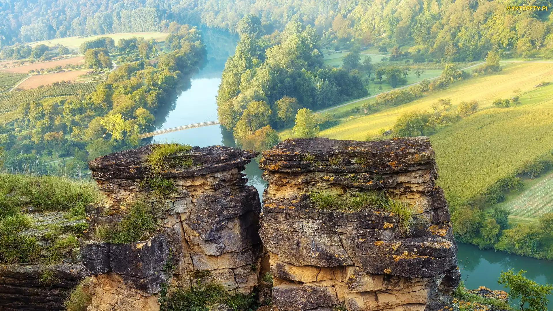 Niemcy, Hessigheim, Mgła, Badenia-Wirtembergia, Rzeka Neckar, Most, Winnice, Drzewa, Skały, Las