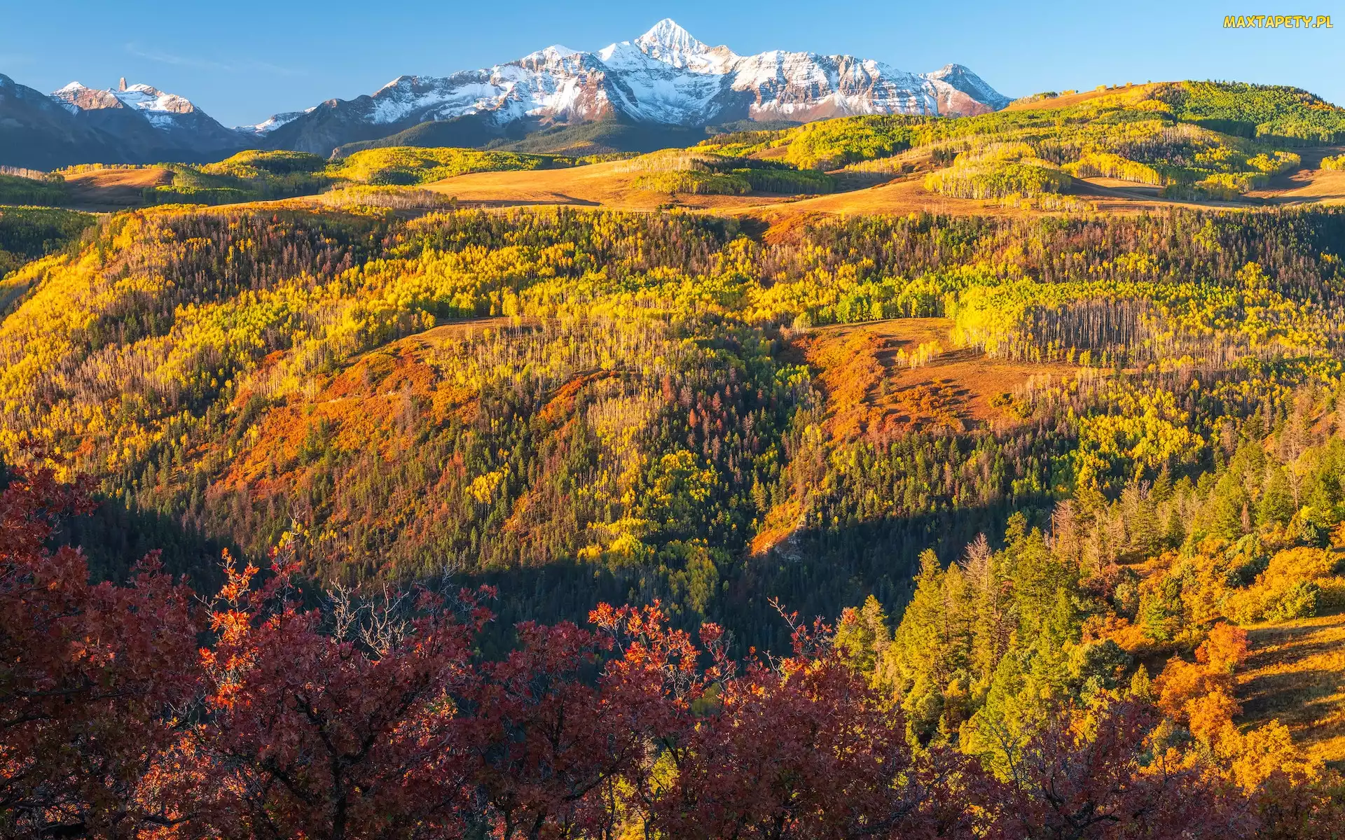 Kolorado, Góry, Stany Zjednoczone, Jesień, Roślinność, Telluride, Lasy, San Juan Mountains