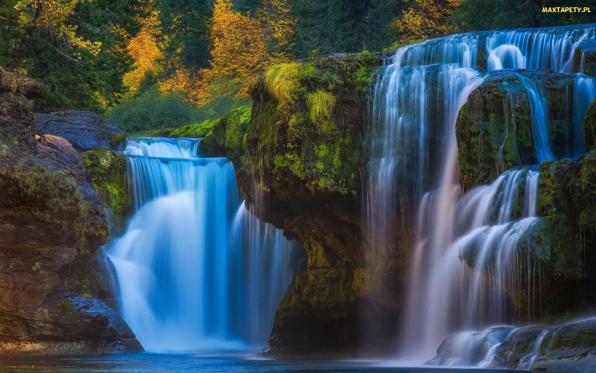 Stany Zjednoczone, Stan Waszyngton, Lower Lewis River Falls, Wodospad, Drzewa, Cougar
