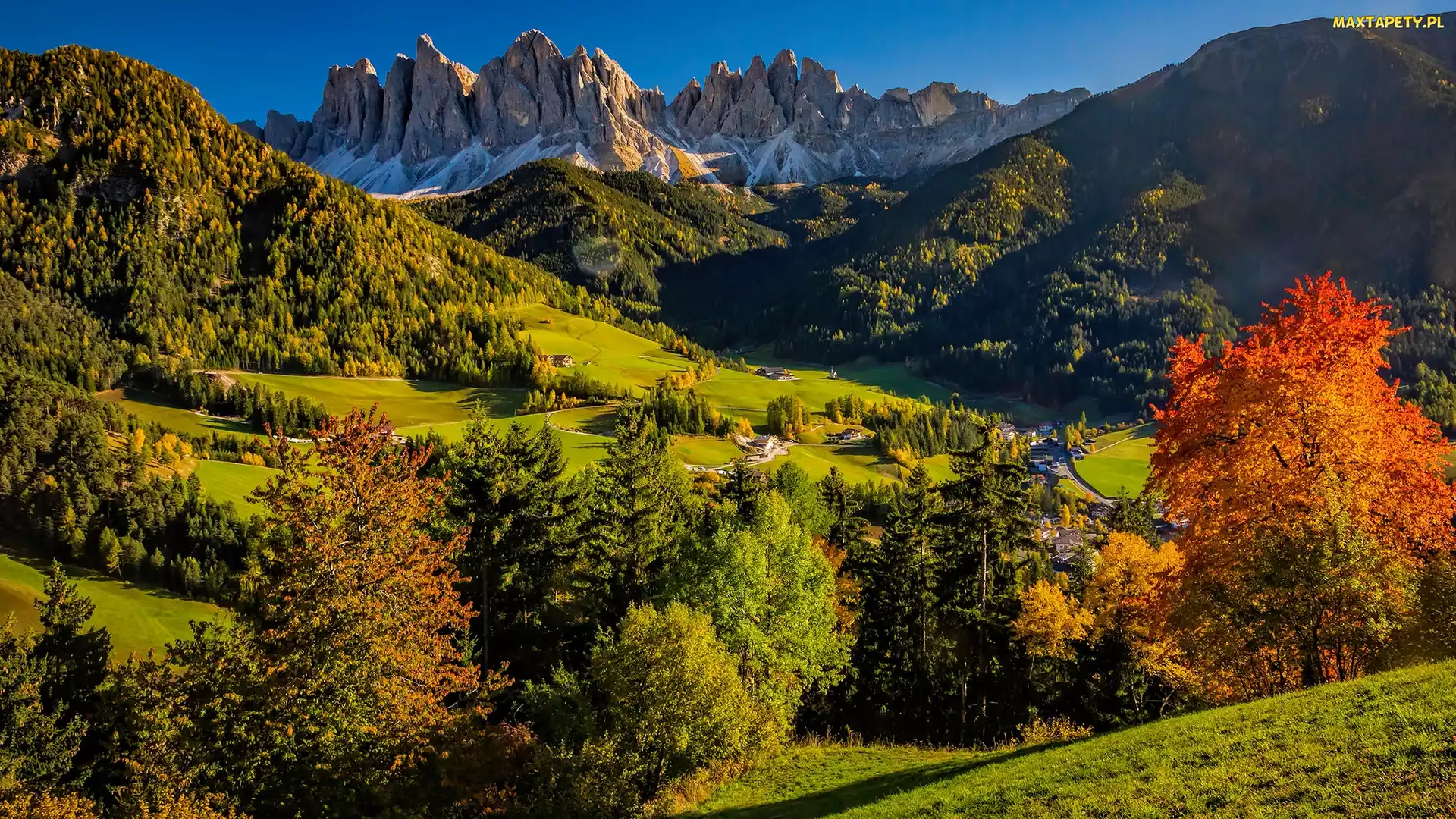 Góry, Santa Maddalena, Włochy, Dolina Val di Funes, Domy, Dolomity, Drzewa, Jesień