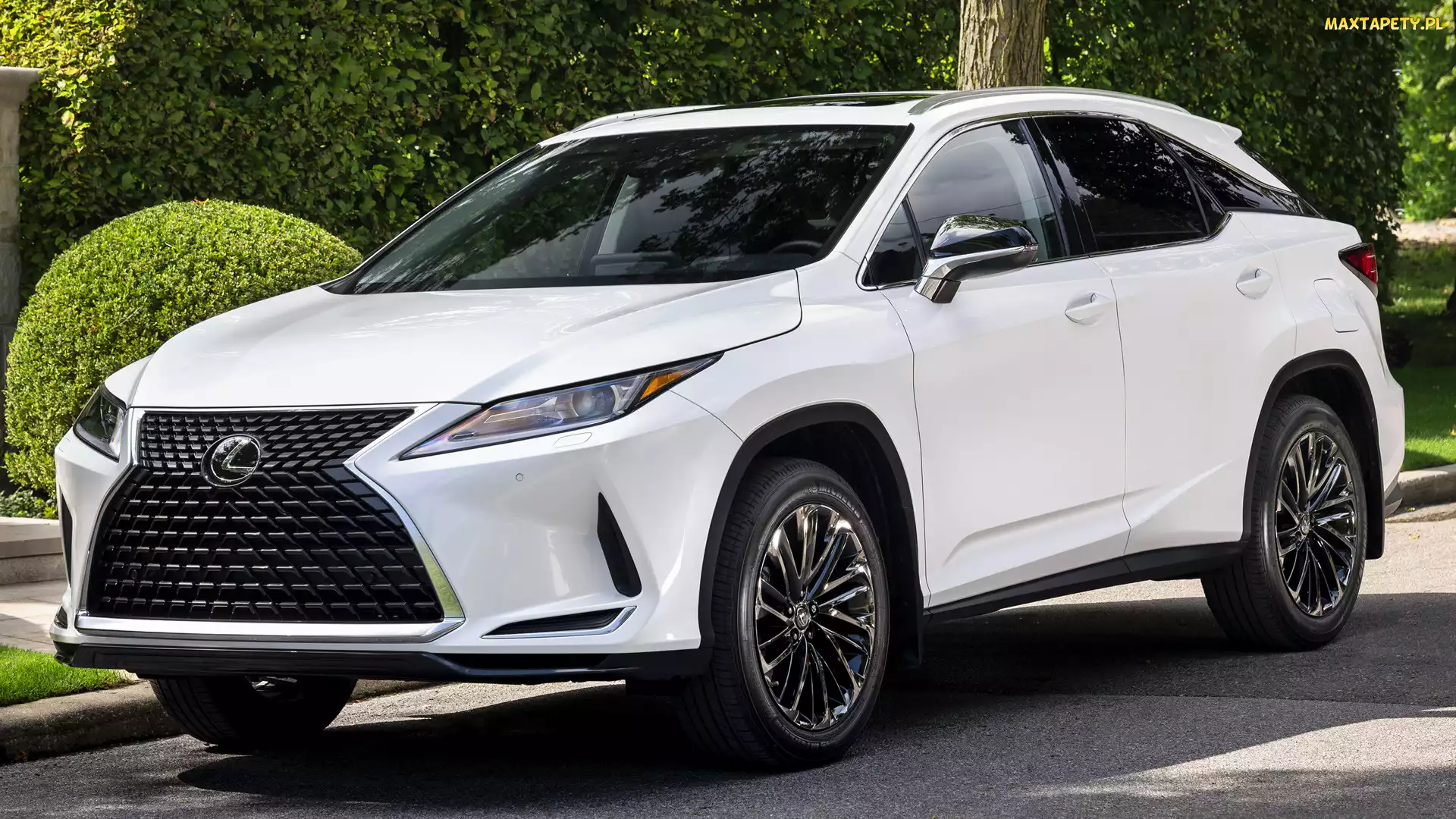 Lexus RX Moonlight Edition