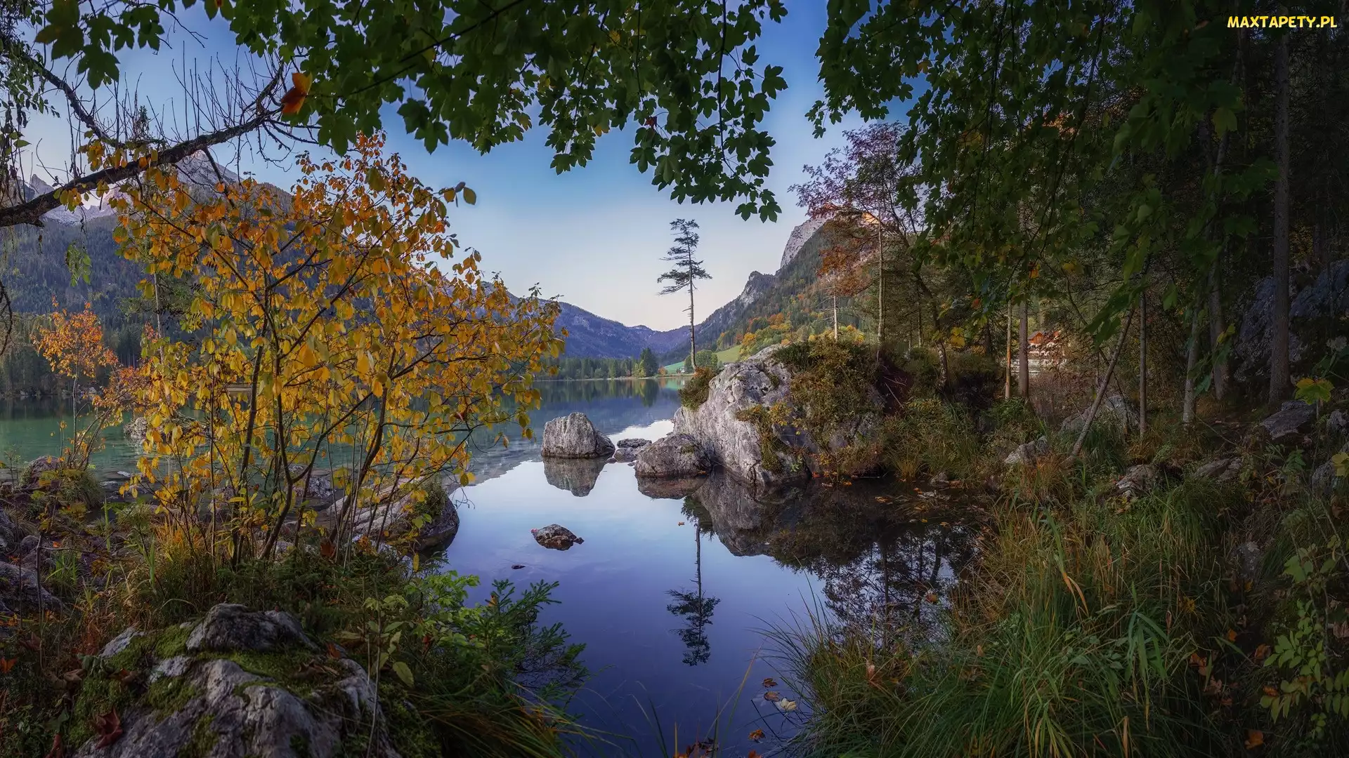 Skały, Krzewy, Liście, Drzewa, Jezioro Hintersee, Bawaria, Góry, Alpy, Niemcy, Gałęzie