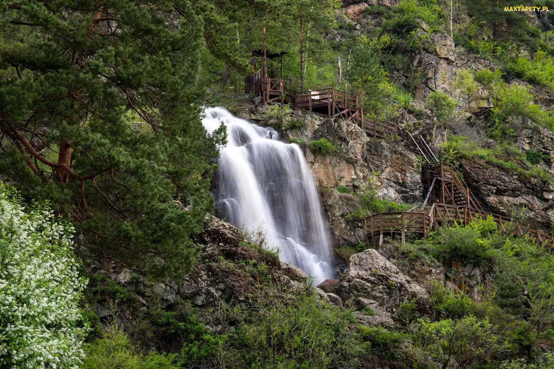 Kamyshlinsky Waterfall, Schody, Wodospad, Drzewa, Ałtaj, Skały, Rosja, Skały