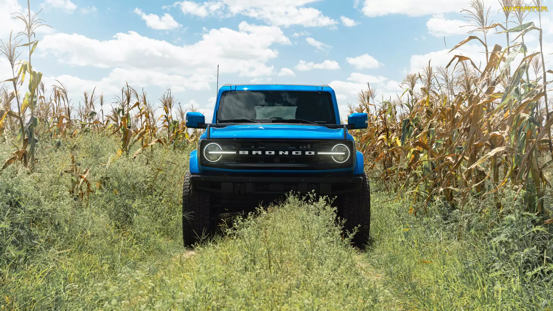 Pole, Kukurydza, Ford Bronco
