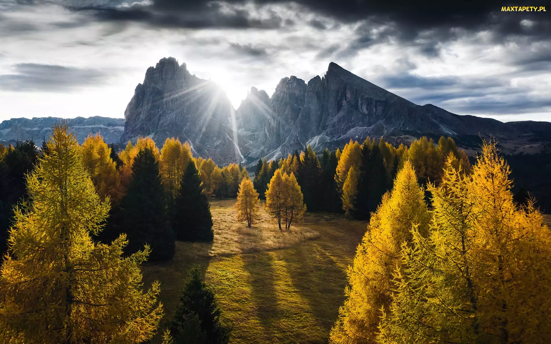 Val Gardena, Drzewa, Dolomity, Seiser Alm, Jesień, Włochy, Góry, Chmury, Dolina, Sassolungo, Płaskowyż