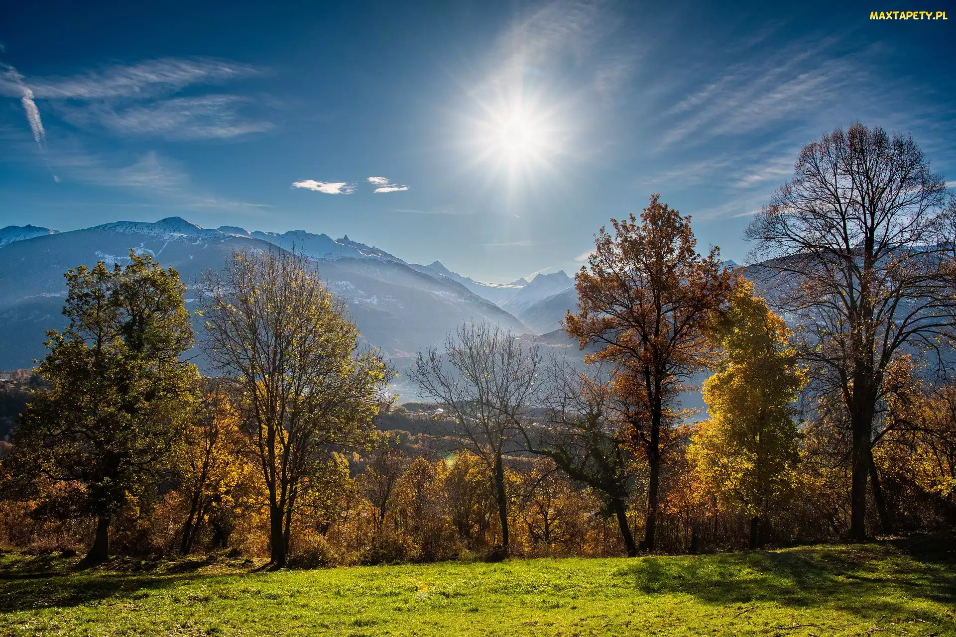 Drzewa, Słoneczny, Jesień, Alpy Pennińskie, Kanton Valais, Góry, Szwajcaria, Blask