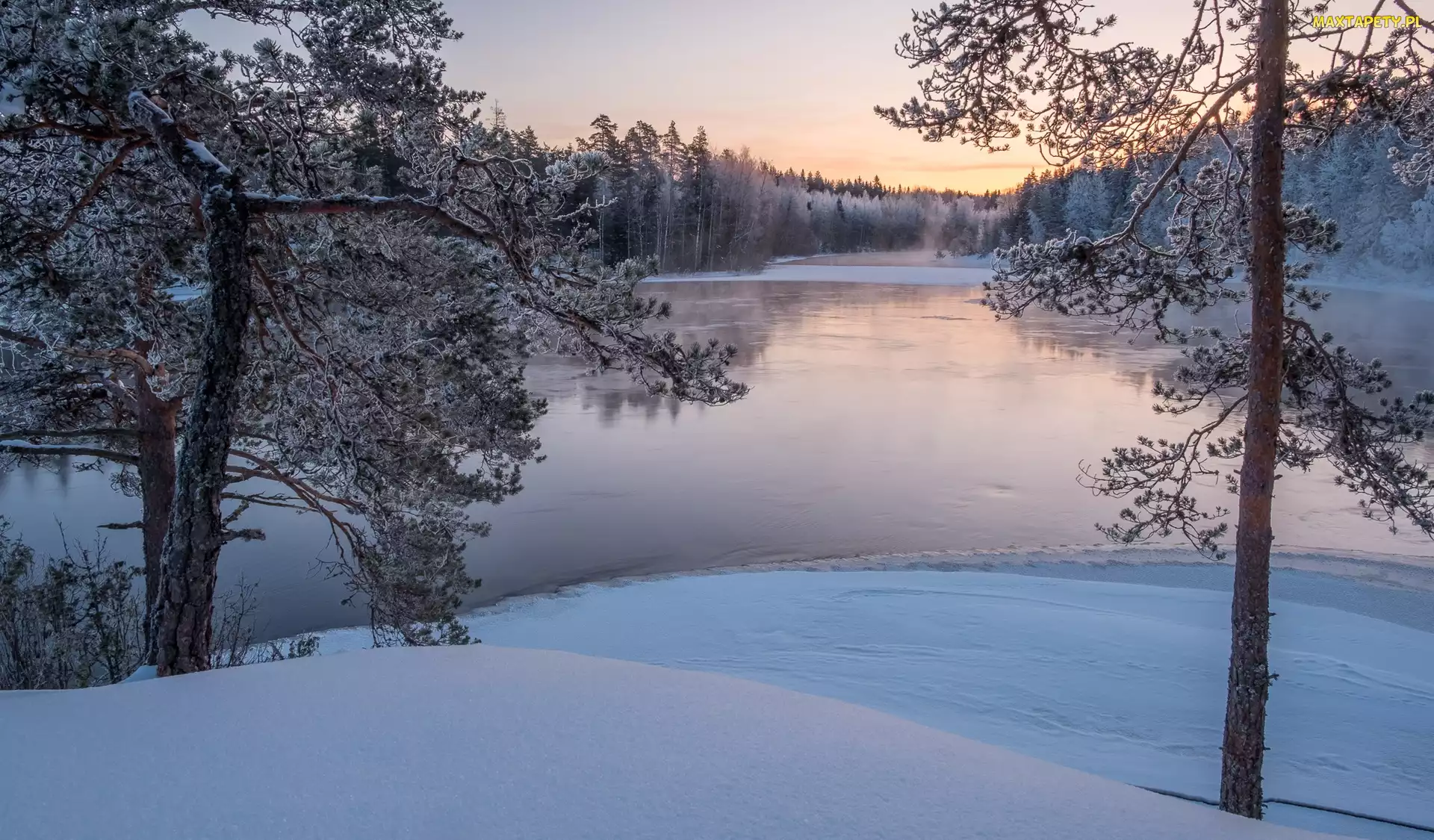 Rzeka Kymijoki, Finlandia, Drzewa, Las, Zima