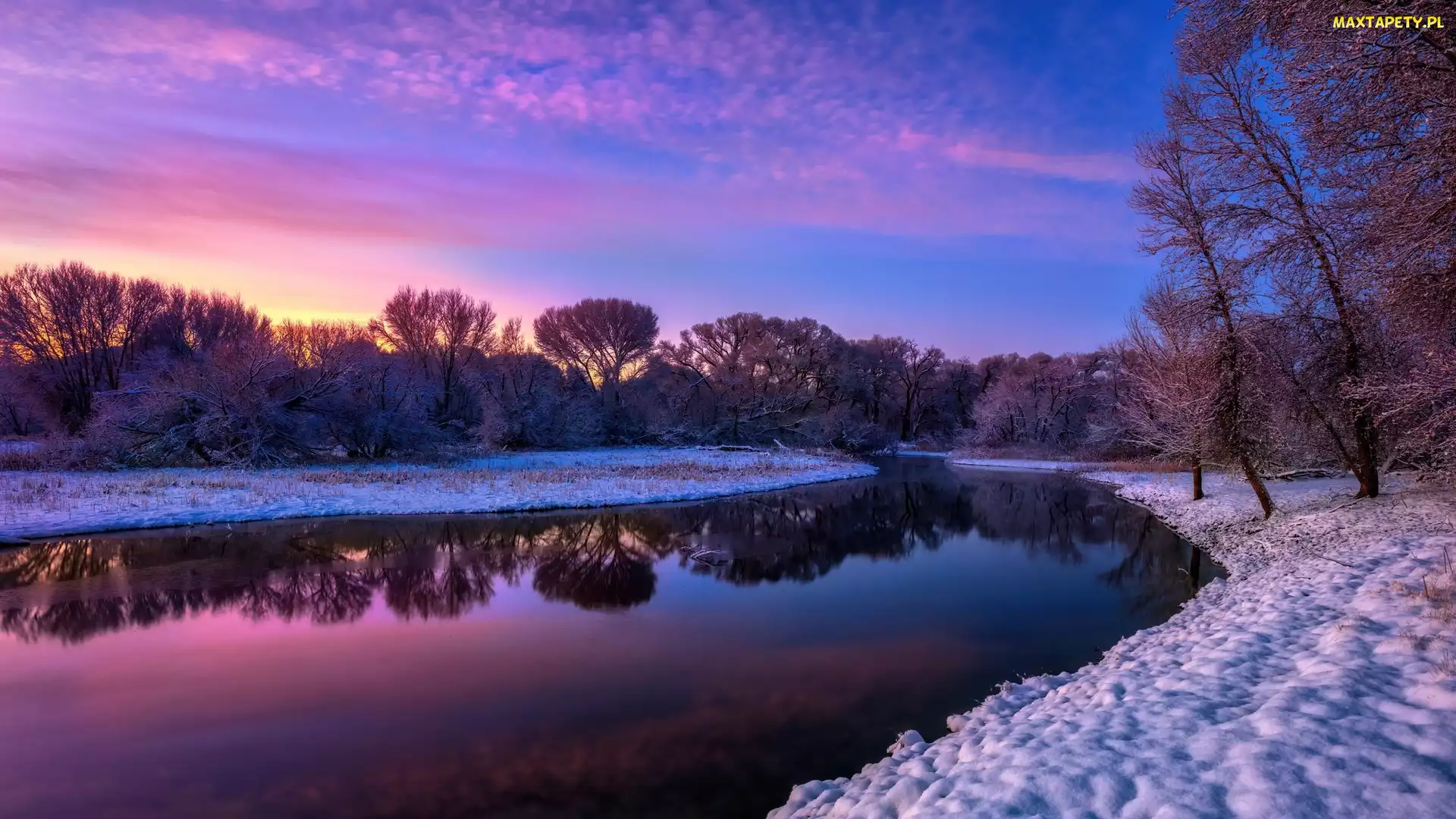 Stany Zjednoczone, Arizona, Drzewa, Zima, Rzeka, Granite Creek