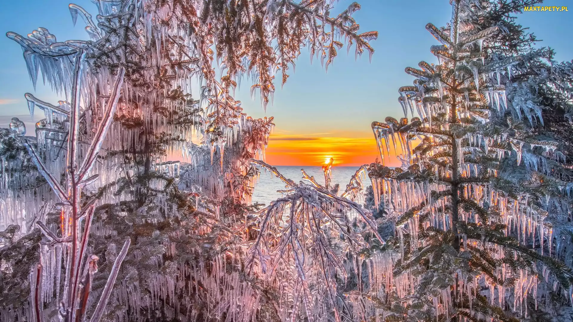 Jezioro, Sople, Drzewa, Zachód słońca, Gałęzie, Zima, Oblodzone