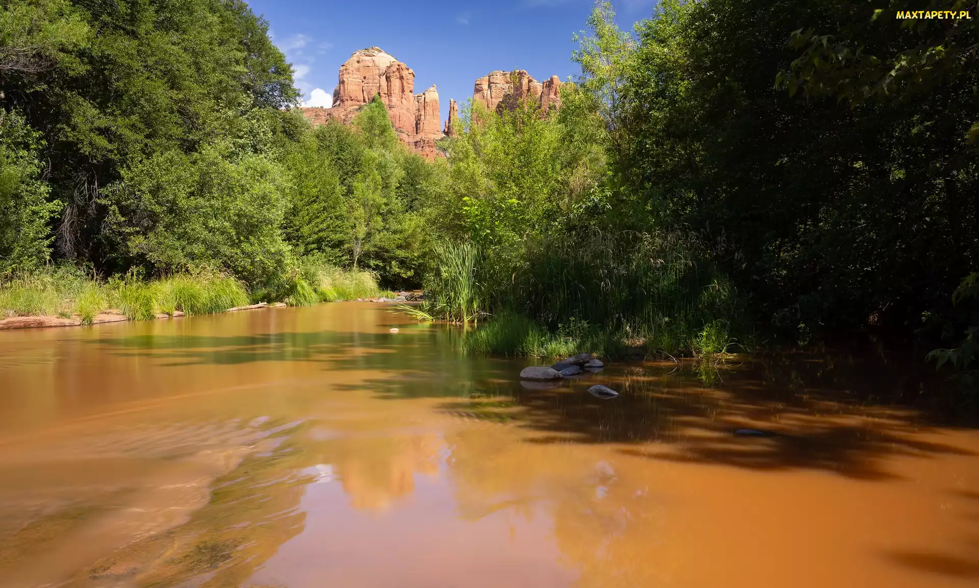 Stany Zjednoczone, Arizona, Drzewa, Rzeka, Góry, Red Rock State Park