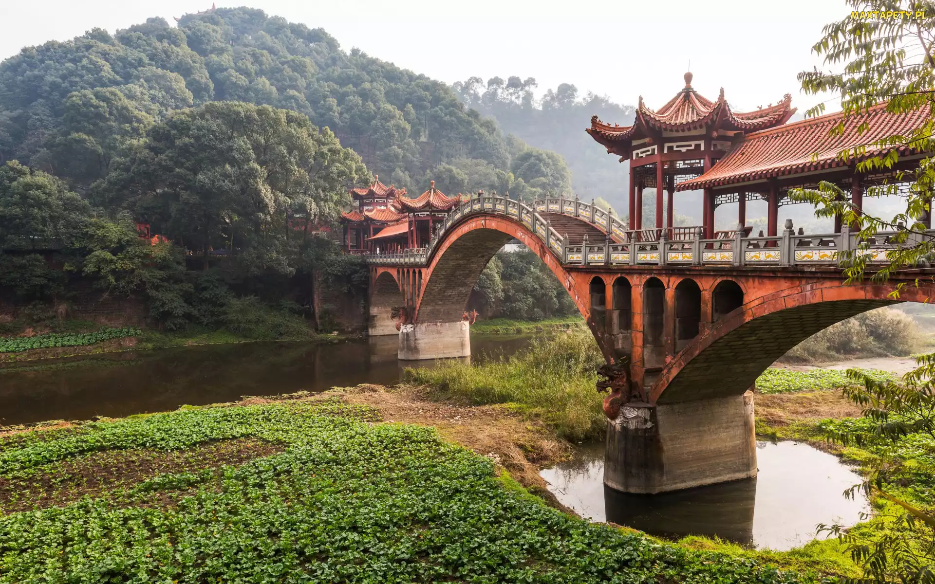 Chengdu, Roślinność, Rzeka, Chiny, Drzewa, Most, Góry