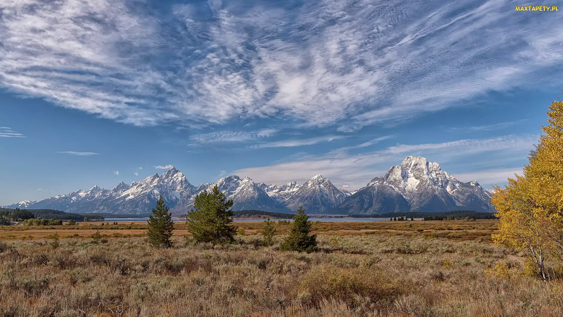 Stany Zjednoczone, Stan Wyoming, Góry, Park Narodowy Grand Teton, Teton Range, Drzewa